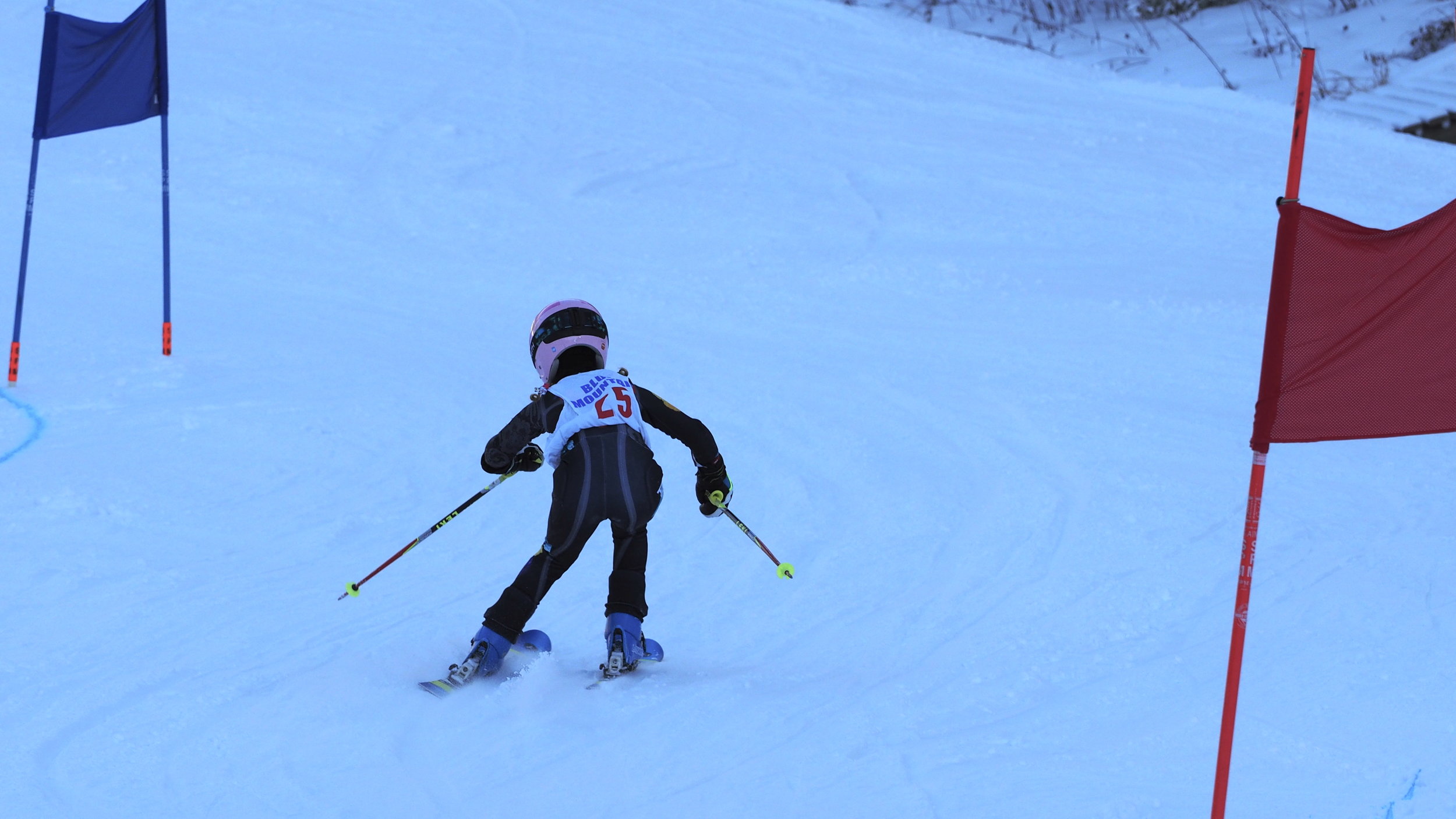 P1153199.JPG