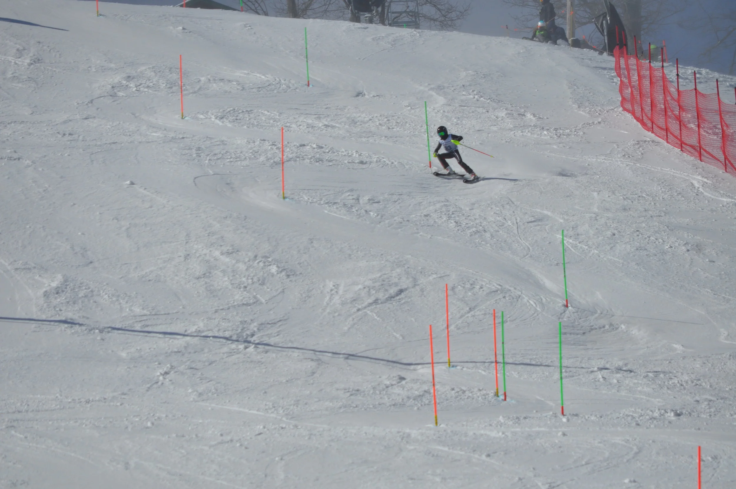 DSC_0214.JPG