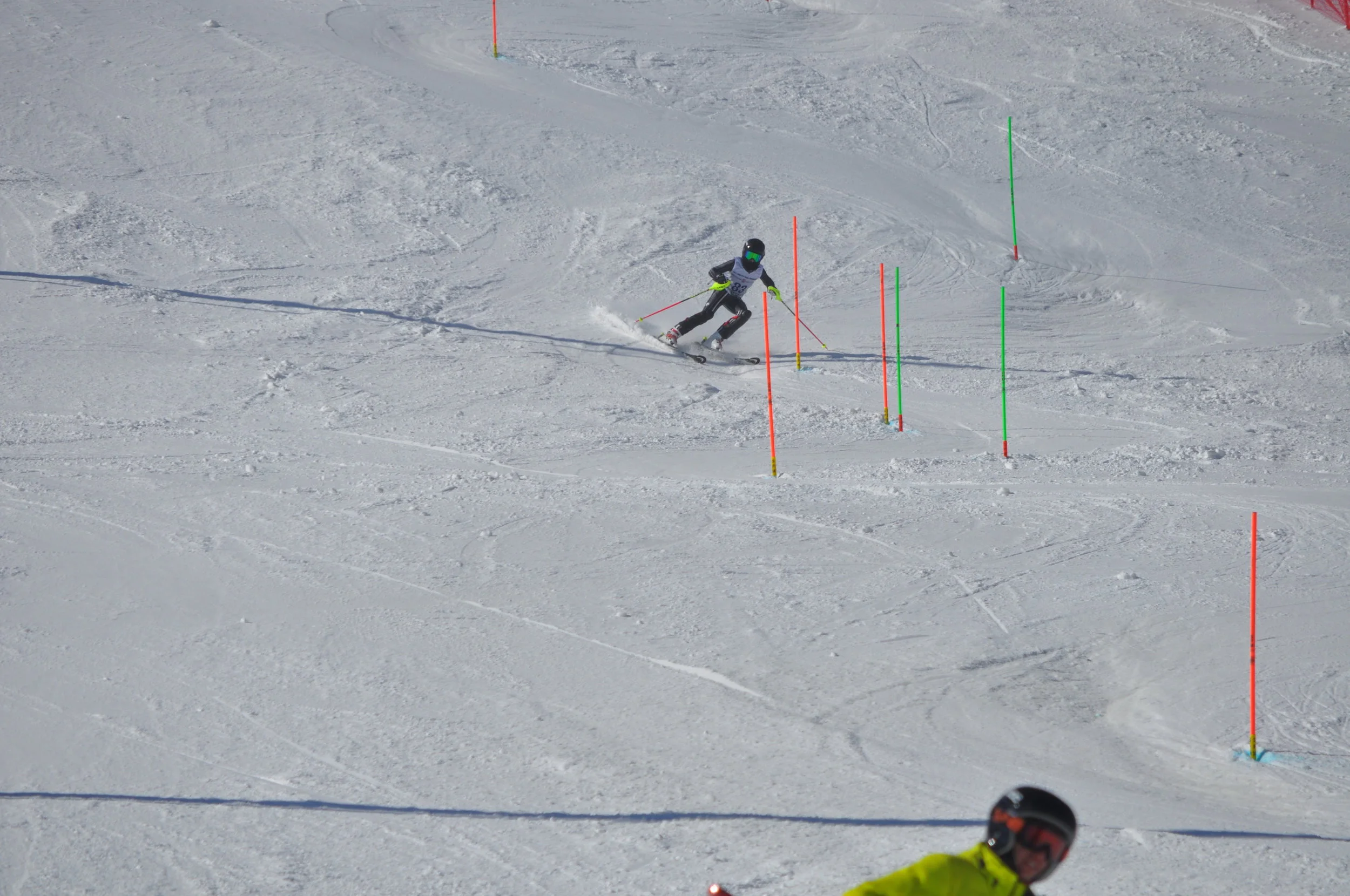 DSC_0224.JPG