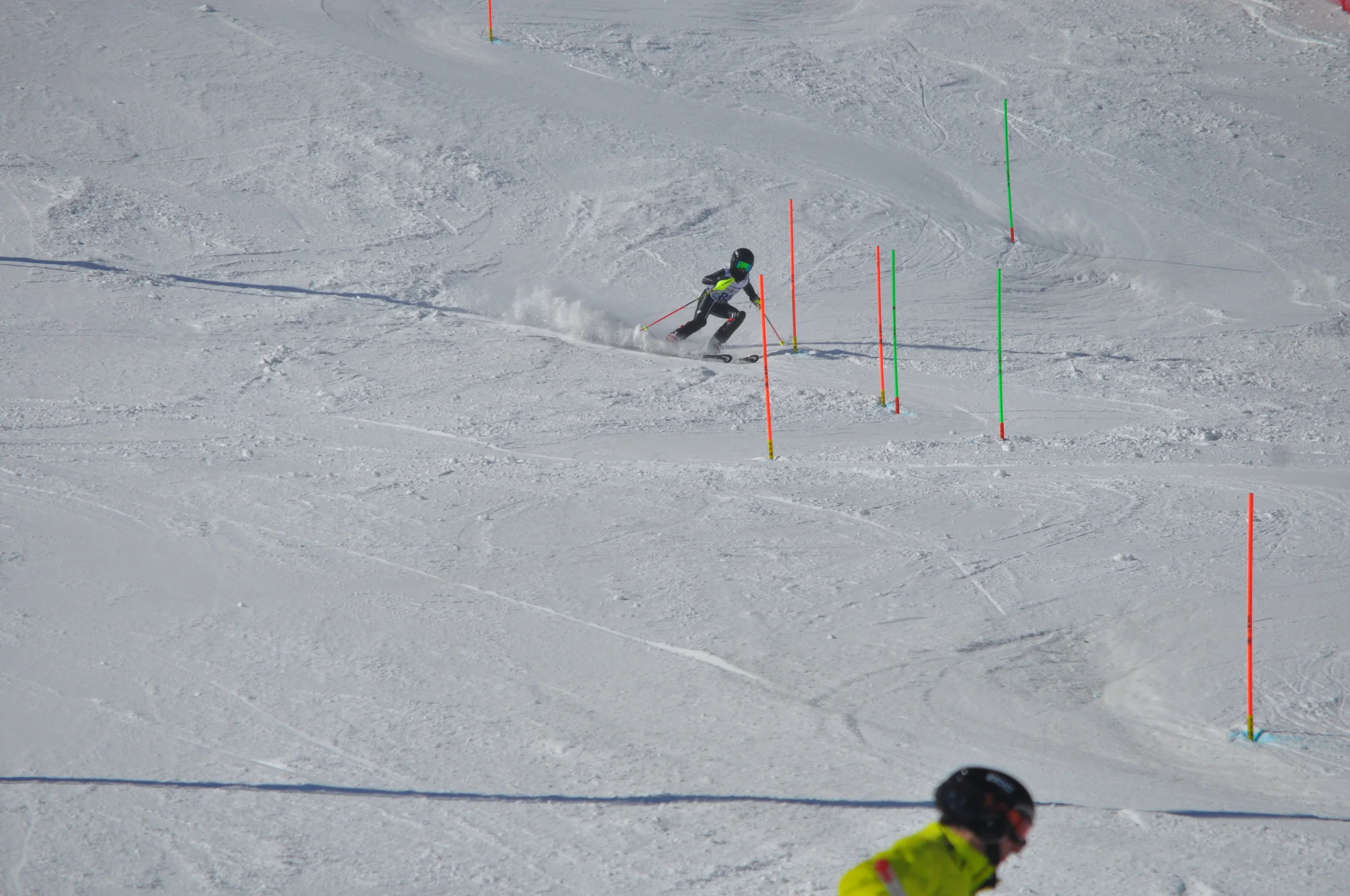 DSC_0225.JPG