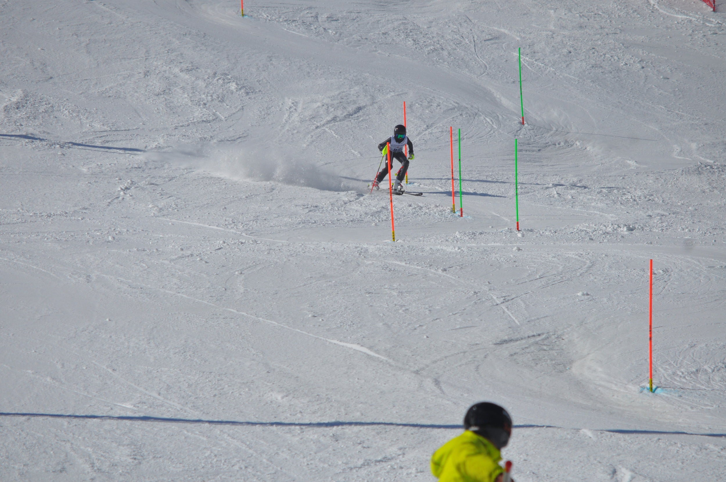 DSC_0226.JPG