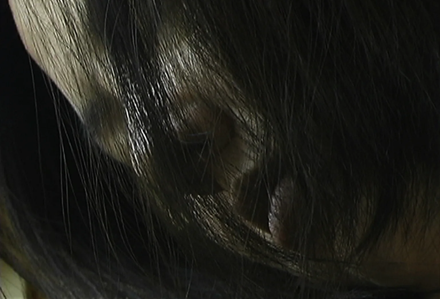 woman hair on train ms_hidden_textpage.jpg
