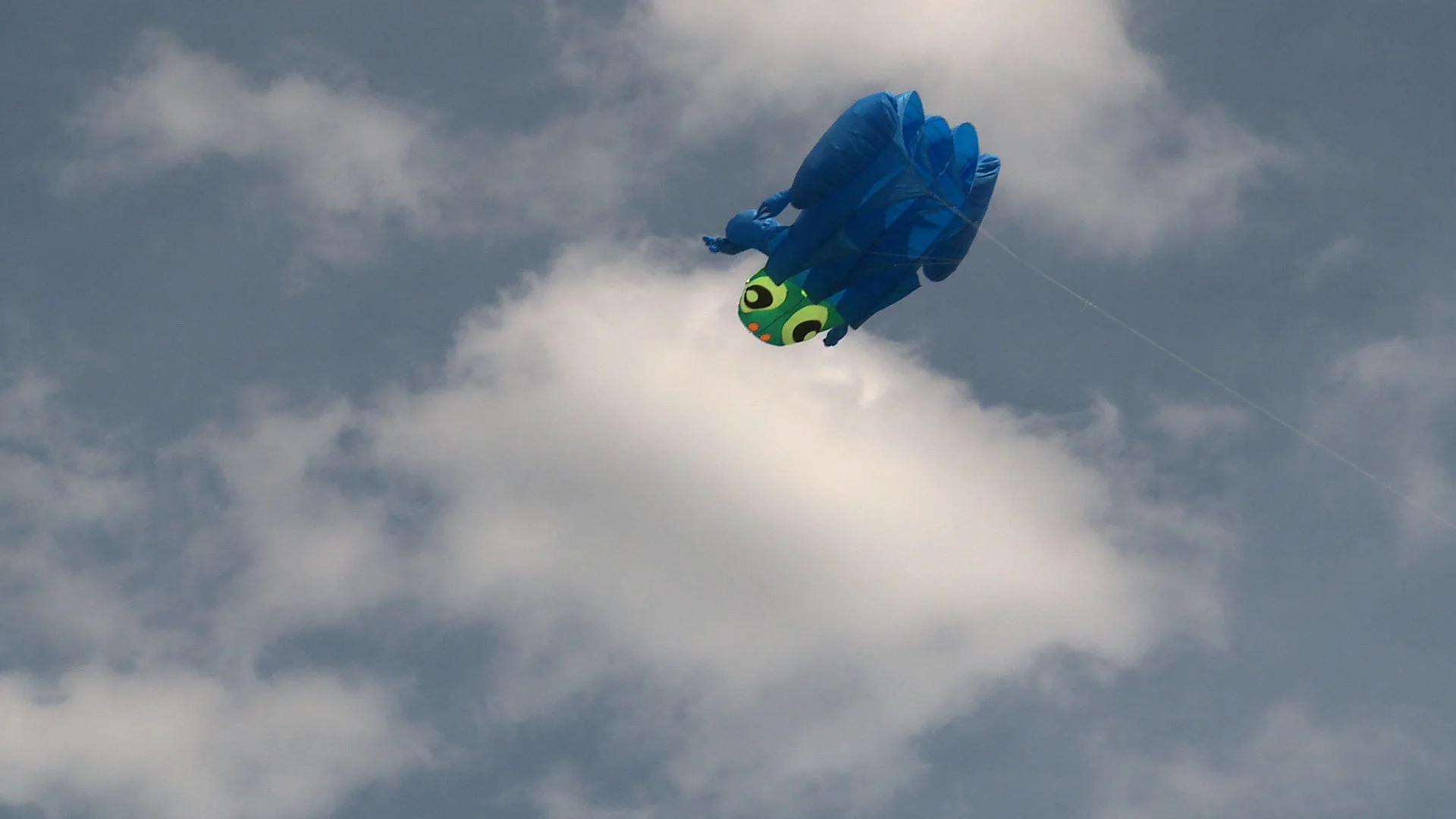 frog clouds kite.jpg