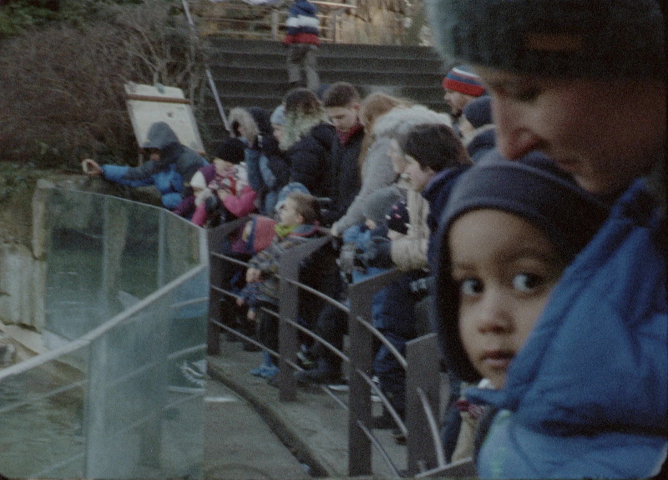 TF kid at zoo3f.jpg