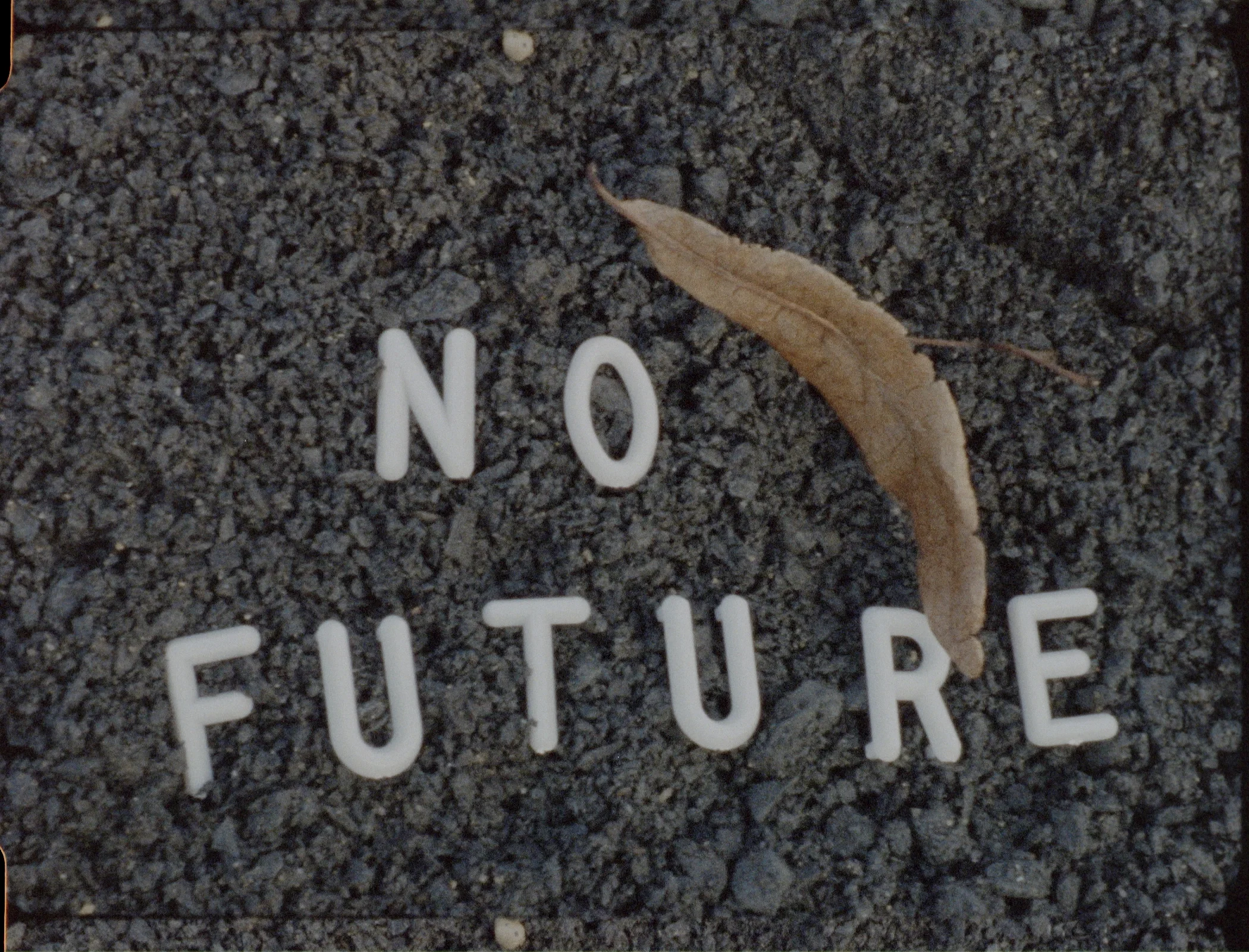 TF no future fullfr.jpg