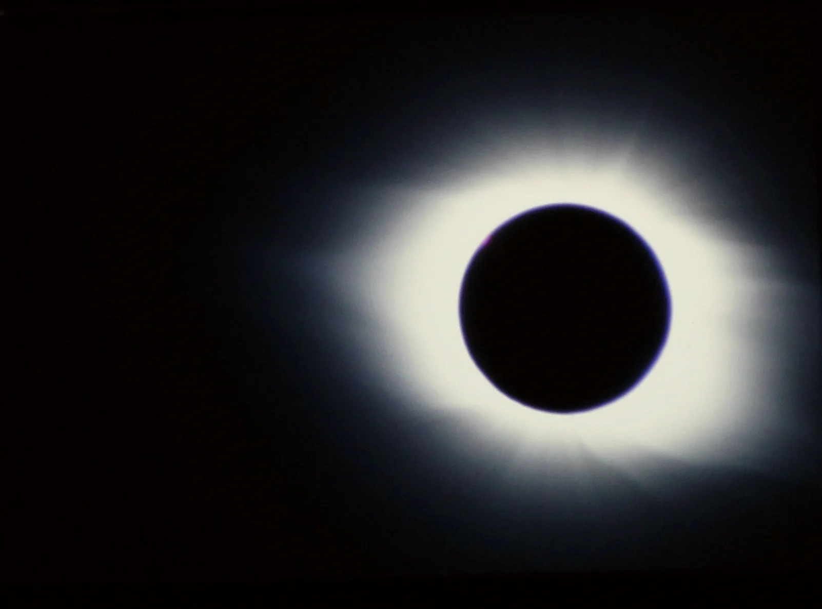 corona_2.jpg
