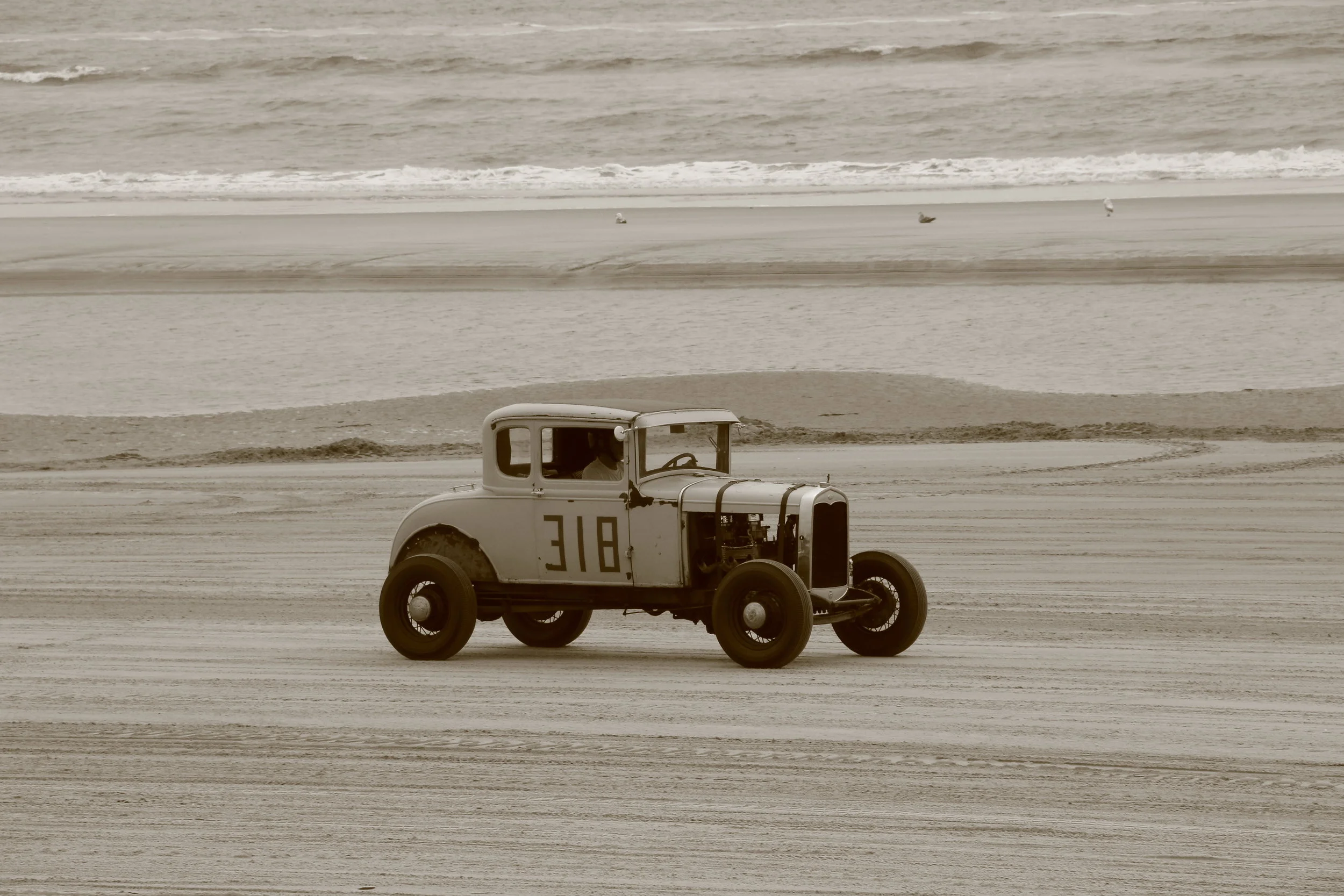 IMG_8771.JPG