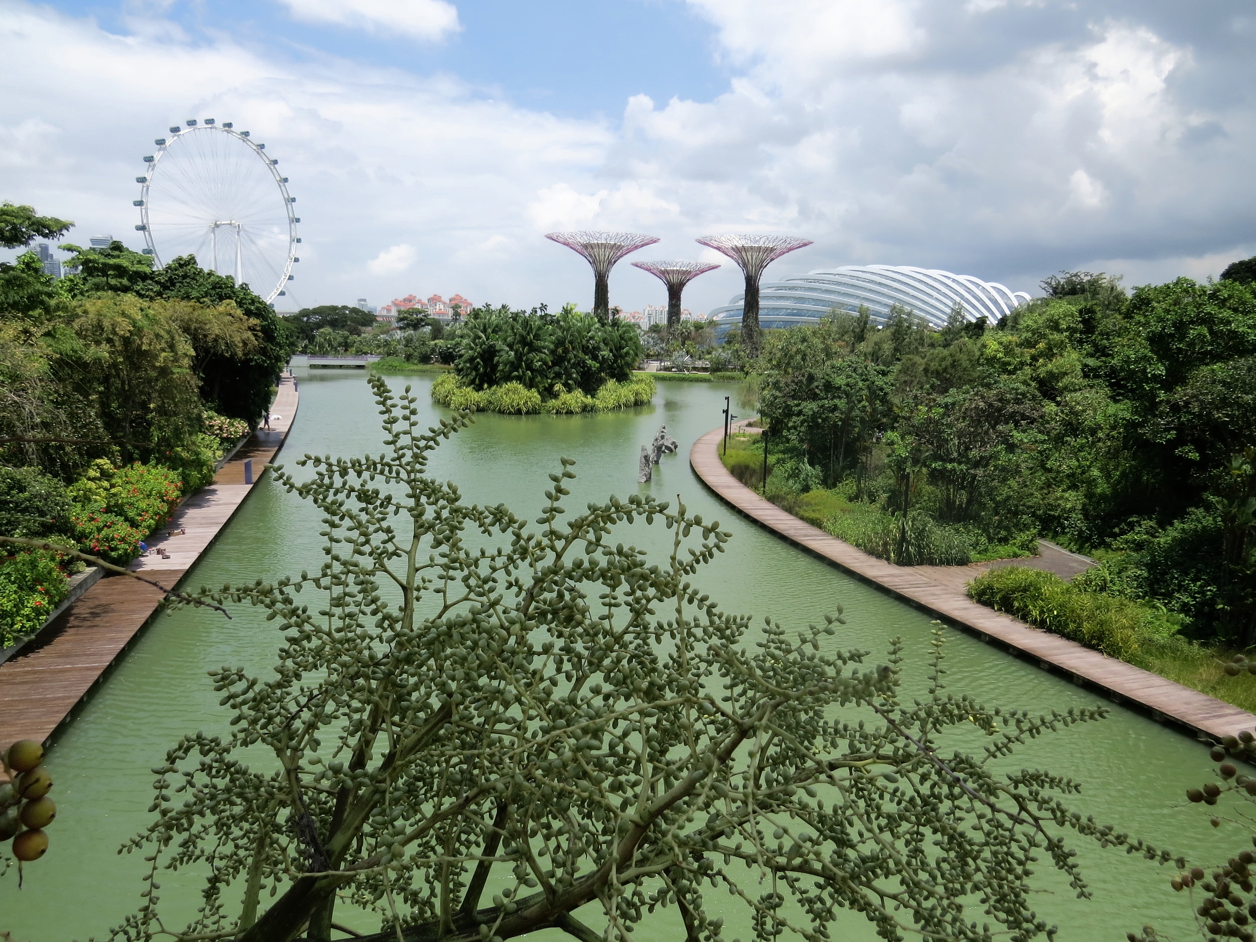 Singapore Flyer, Supertrees and Flower Dome