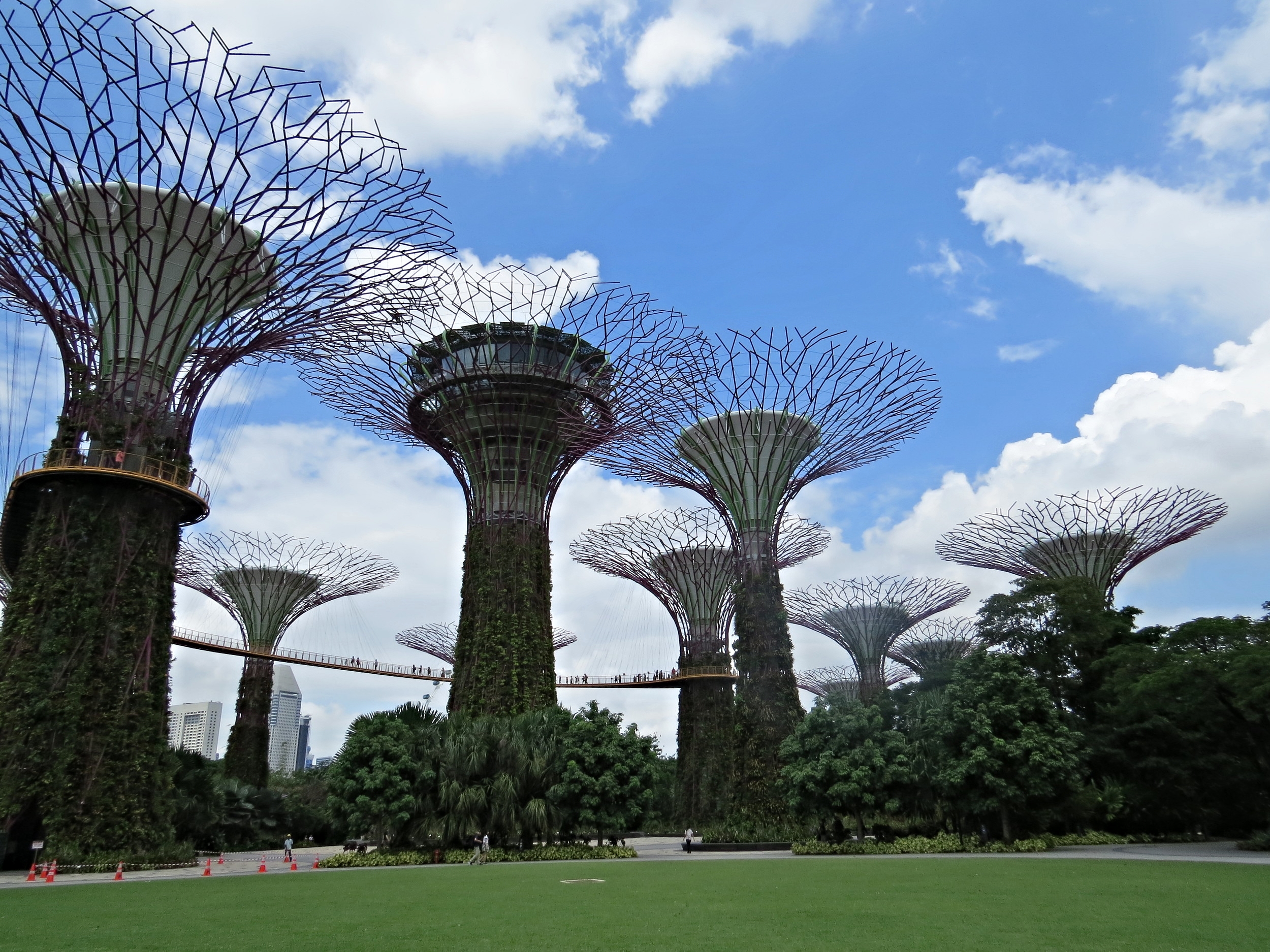 Supertree Grove and Skyway