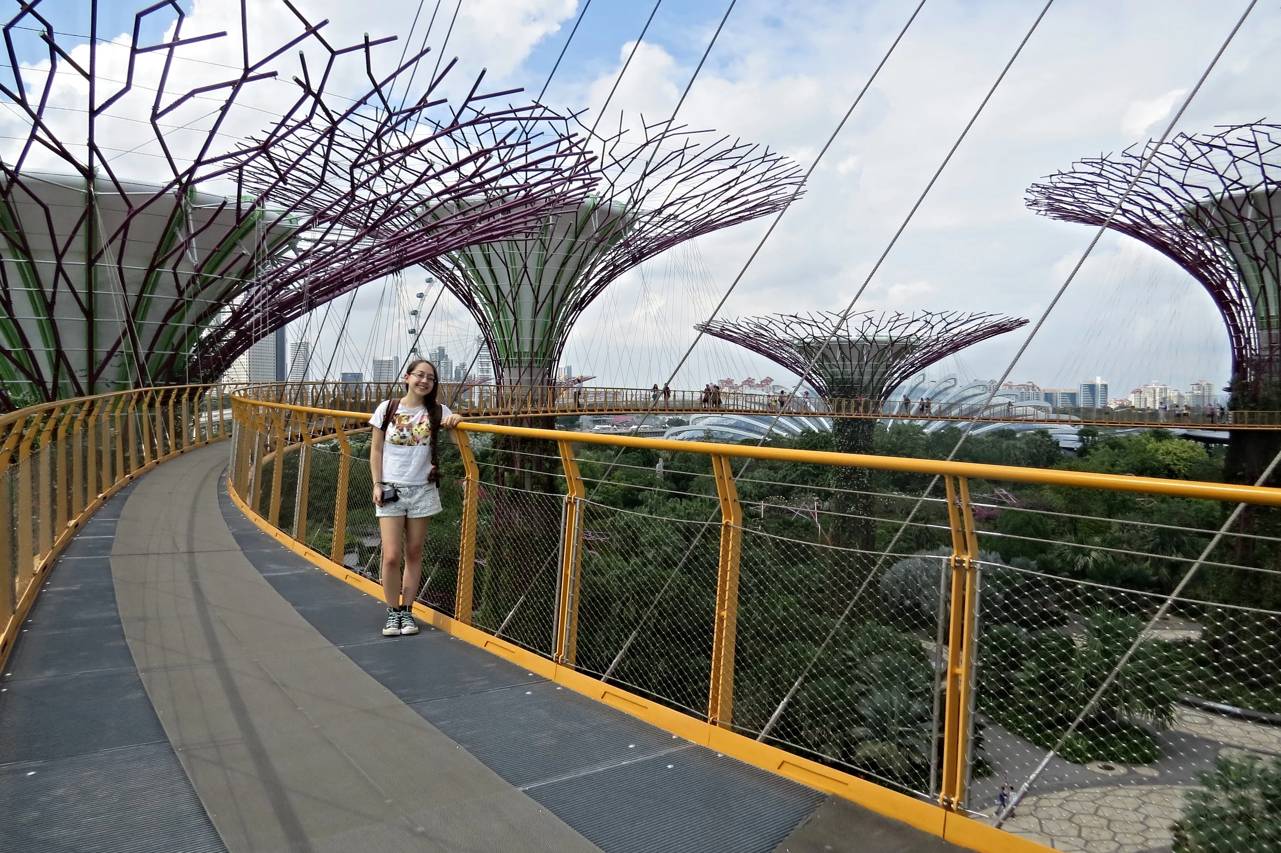 Skyway in Supertree Grove
