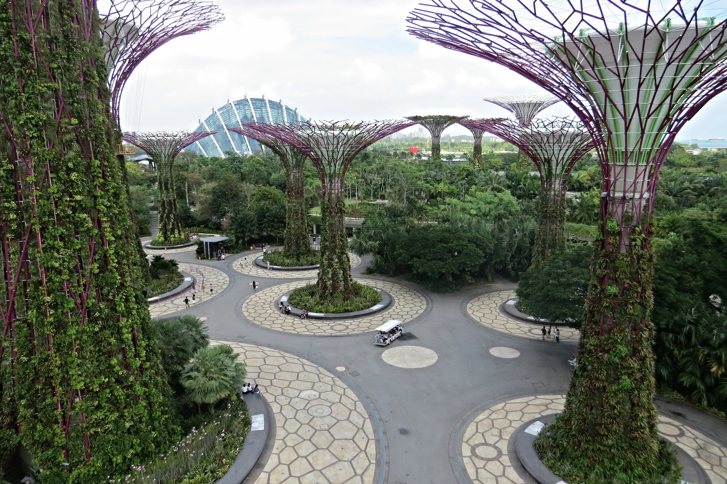 Supertree Grove with Cloud Forest Dome in background