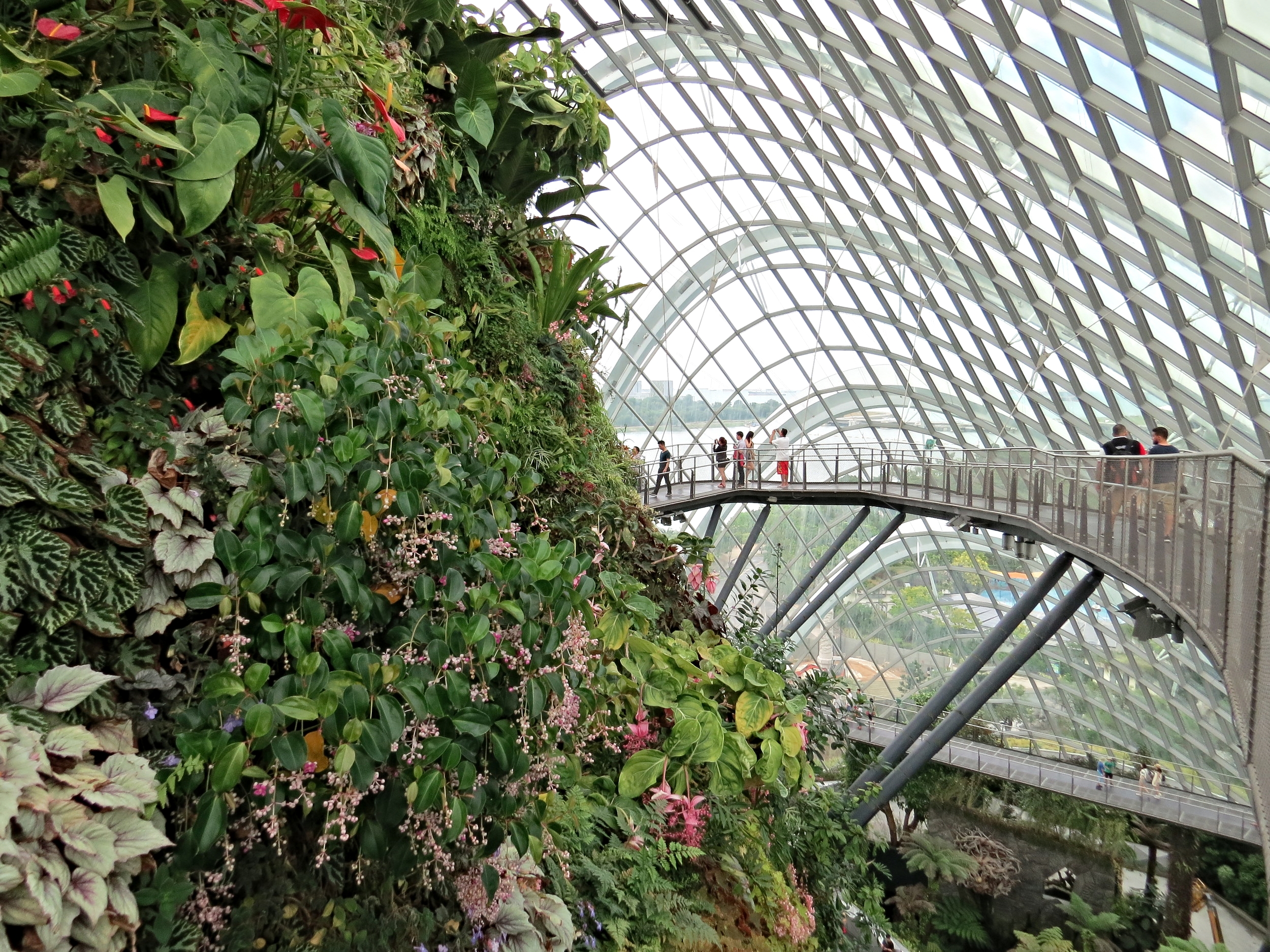 The Cloud Walk and Treetop Walk below