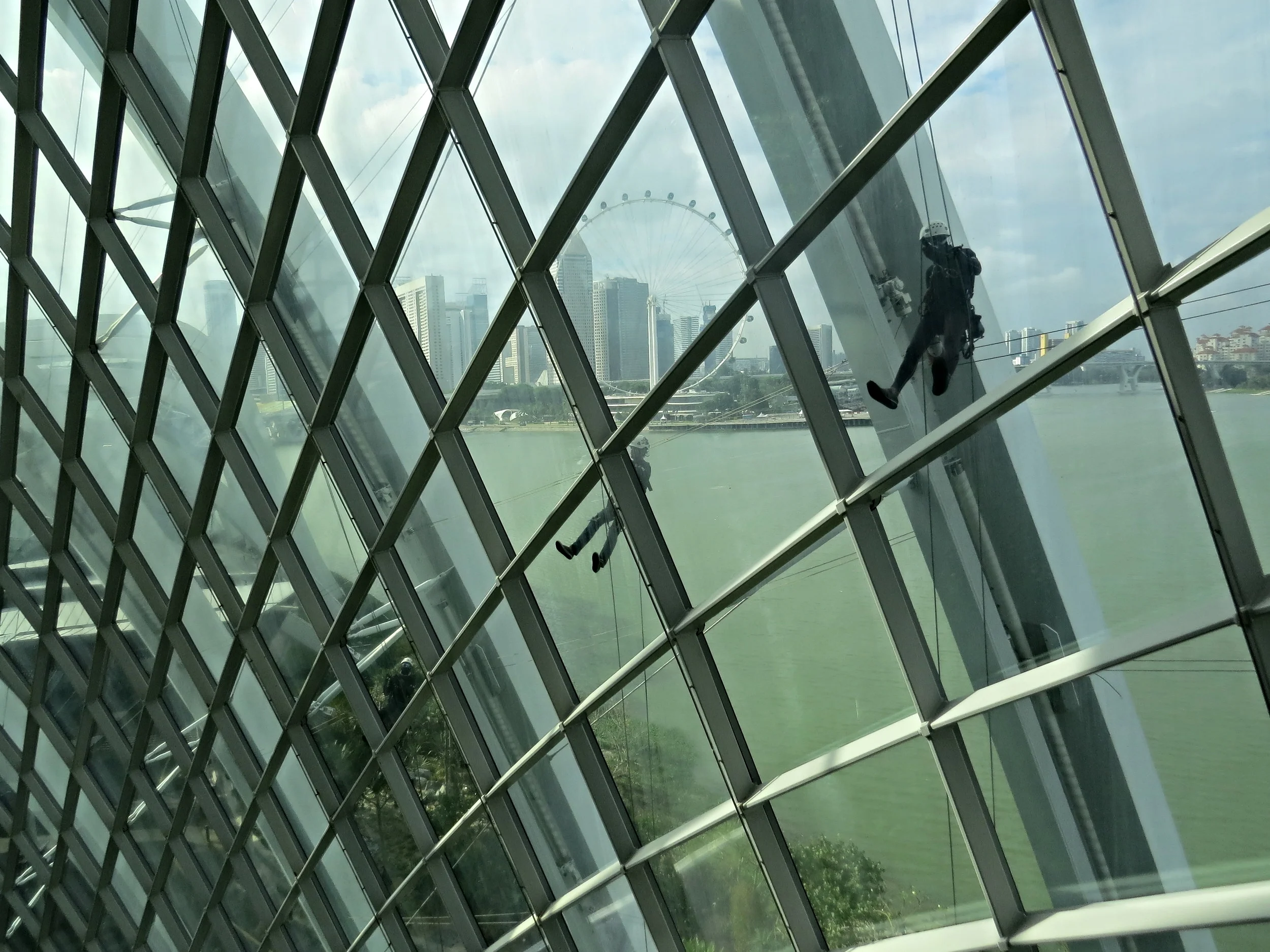 Window Washers