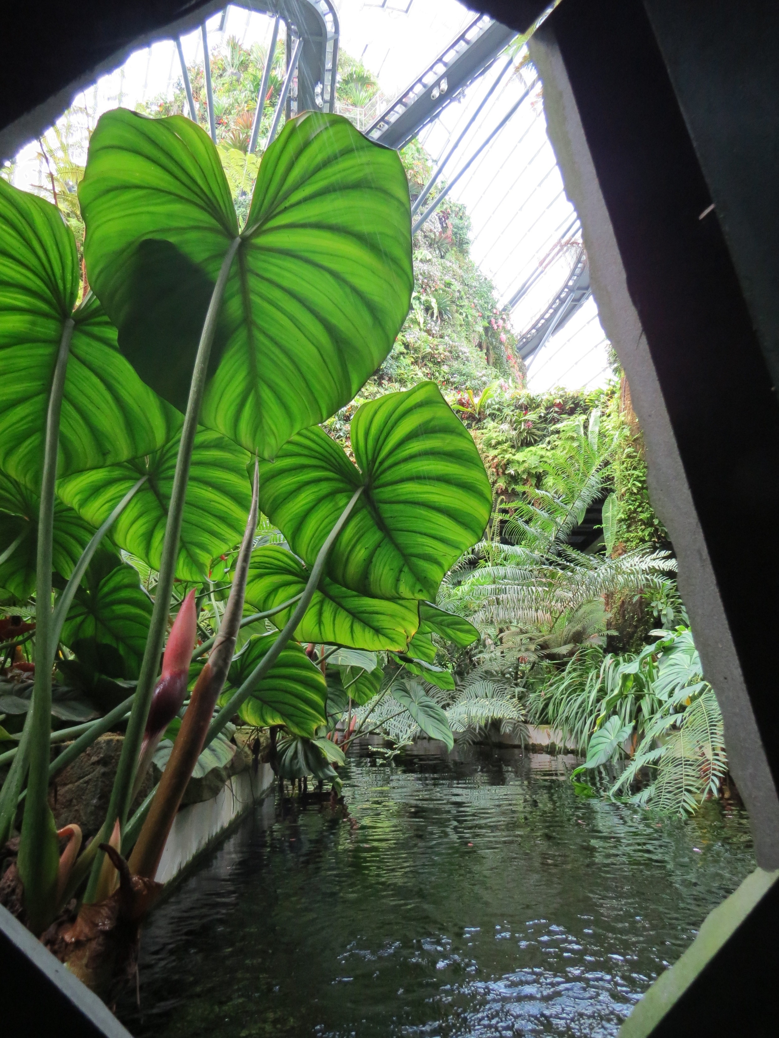 Secret Garden