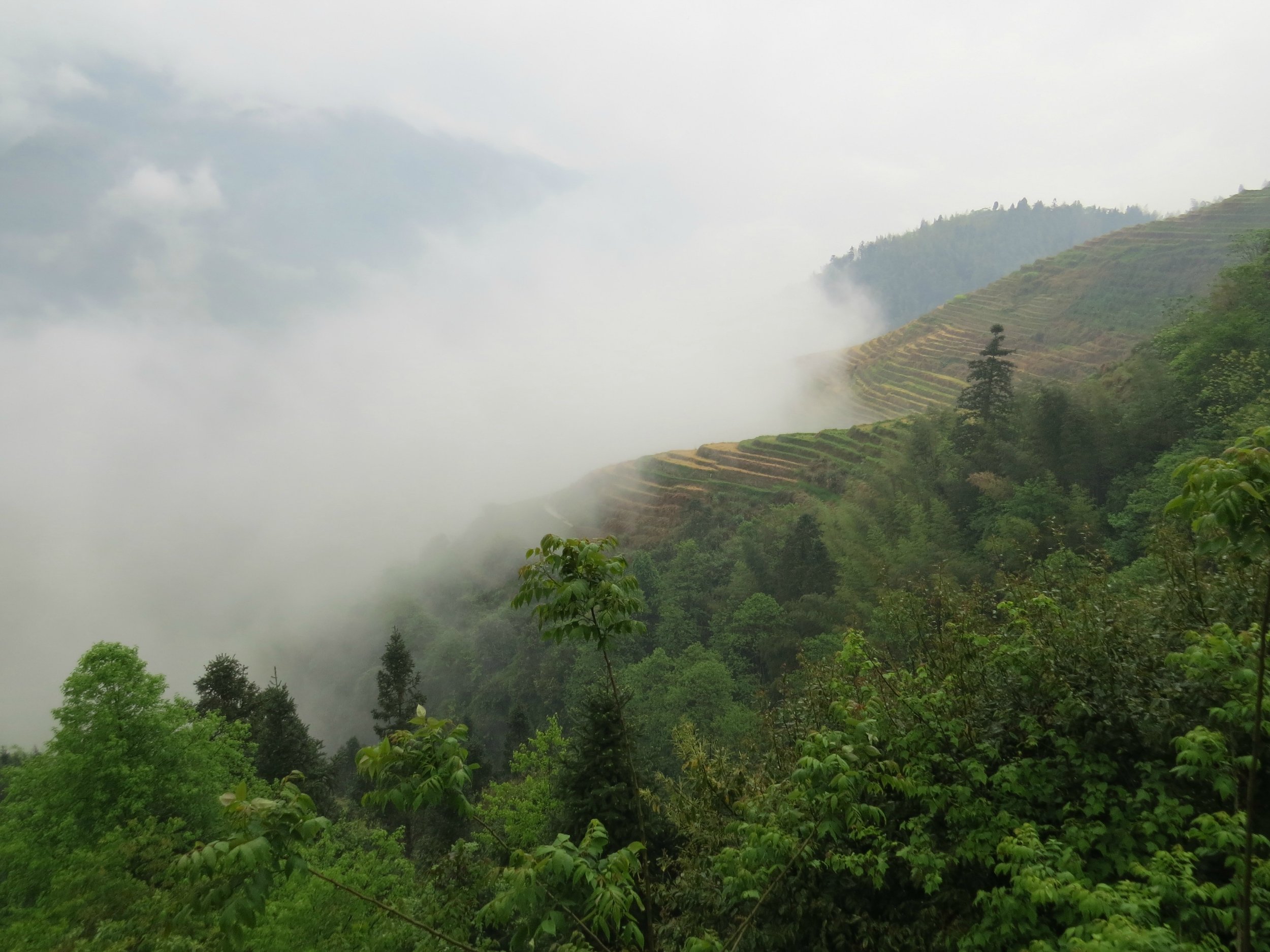 Fog rolling in