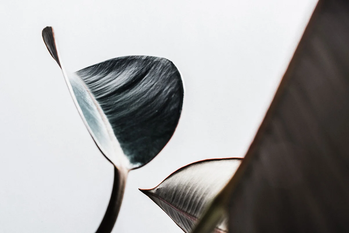 Stemme-+-Sill-Life-Selects-19.jpg