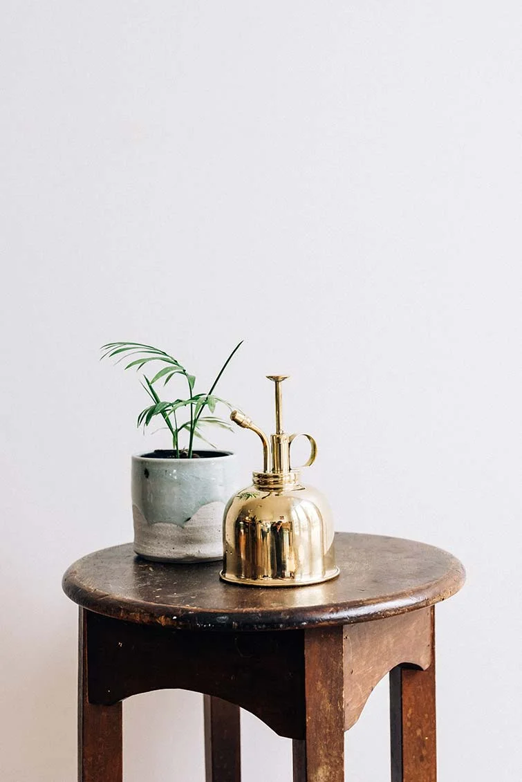 Sill-Life-09-09-15-19.jpg