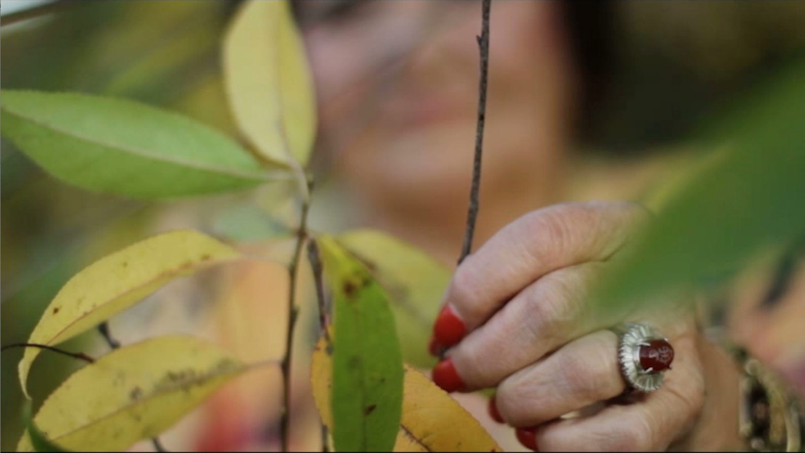 Screen Shot 2015-09-18 at 6.40.18 PM.png