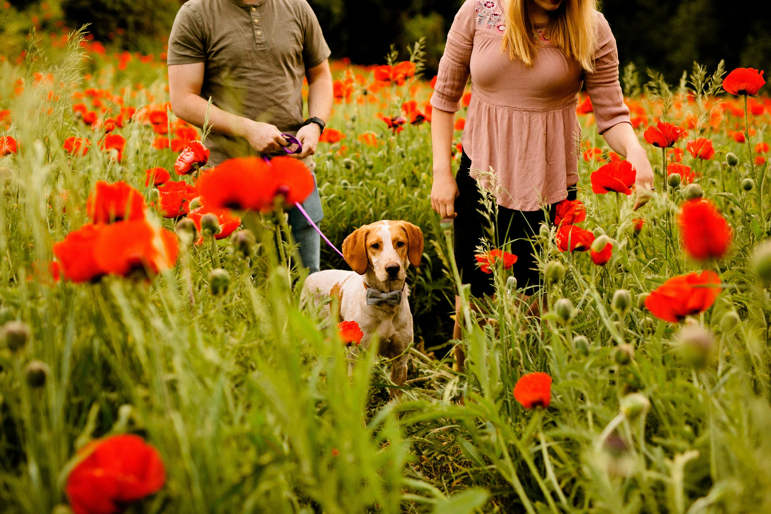 201806_evakylepoppies_24.jpg