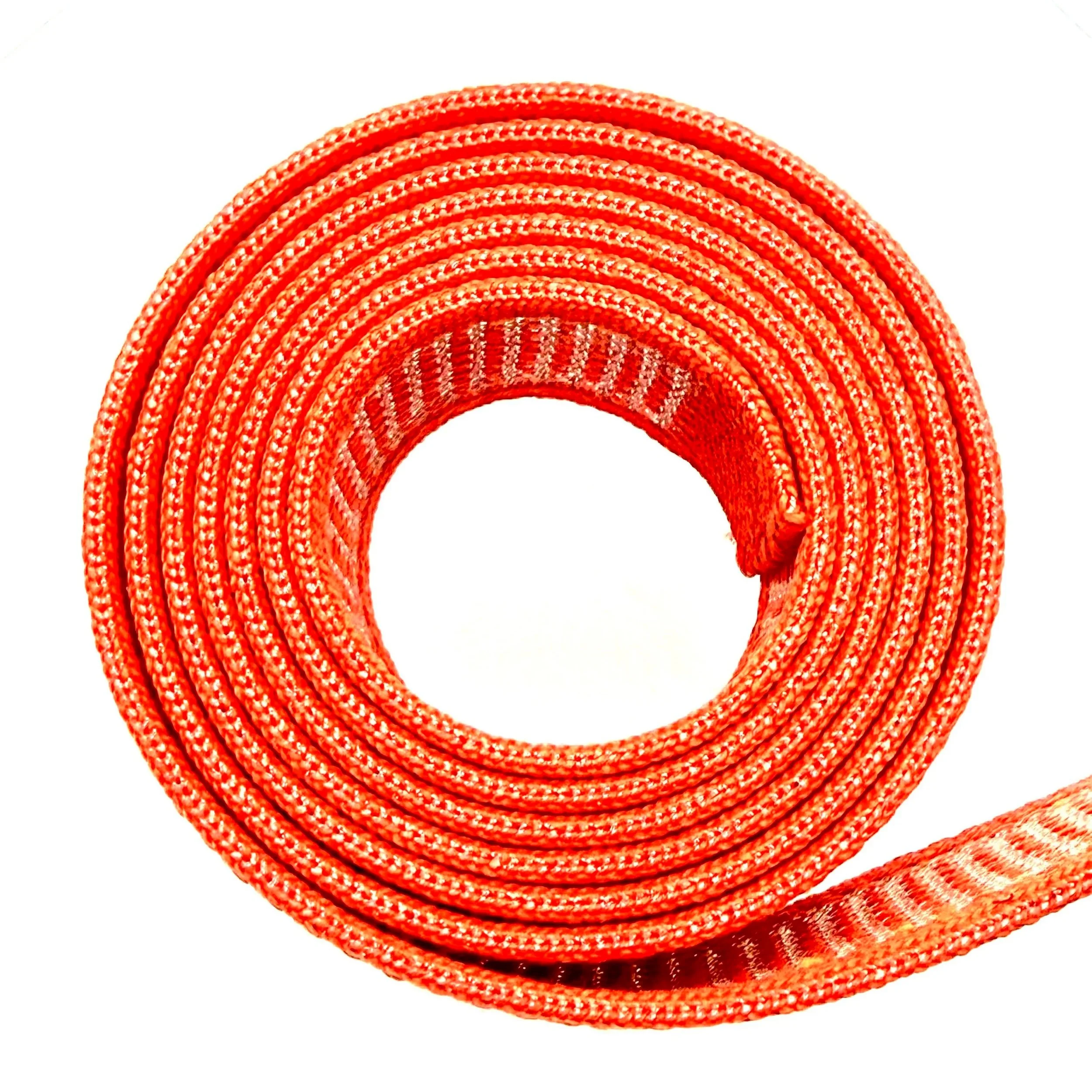 Bilio+Belt.jpg