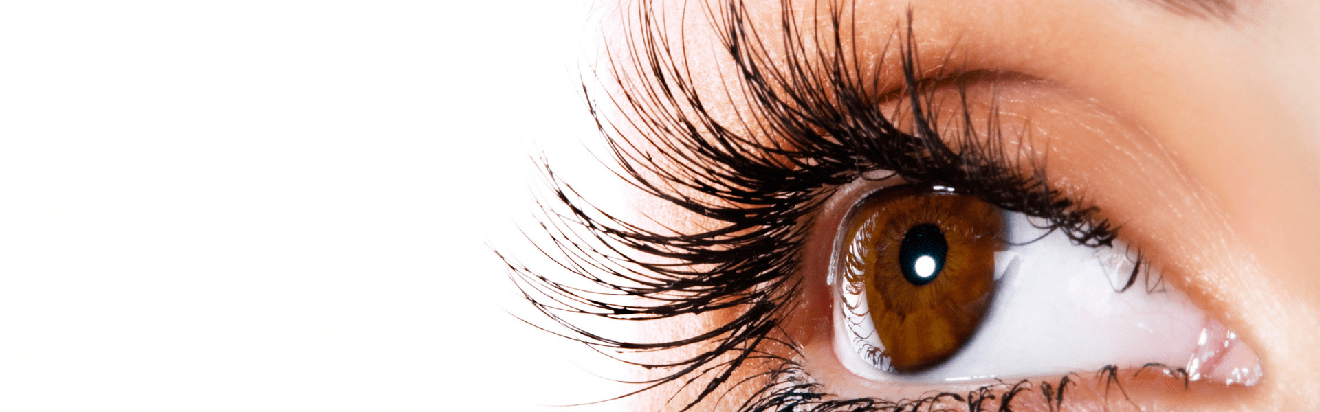 lashes.png