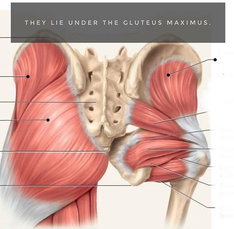 Hip Abductors — On the Move Physical Therapy