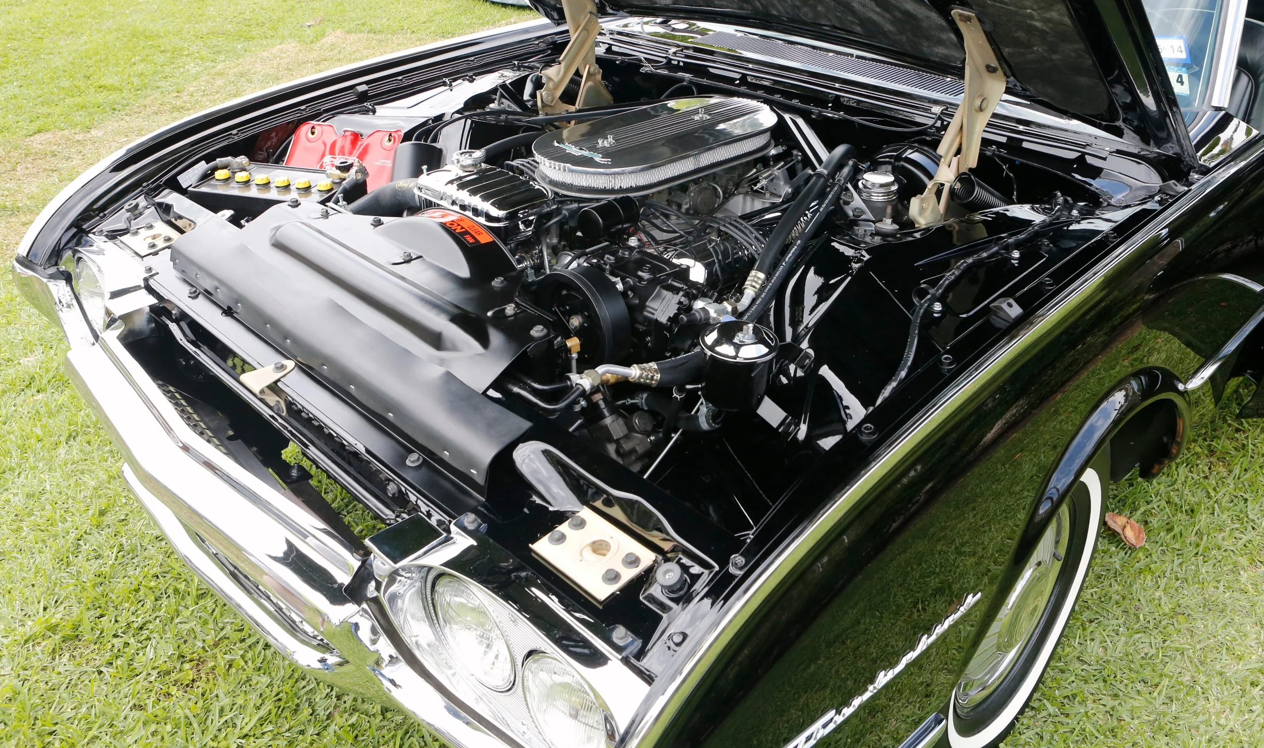 043_P8Q1533.jpg