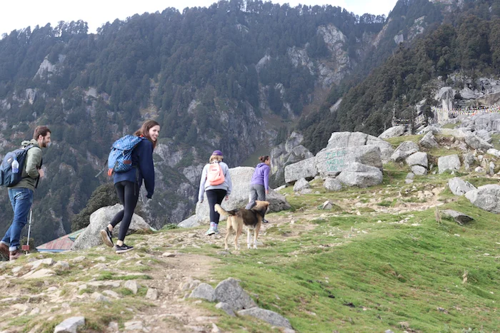Made it to Triund!