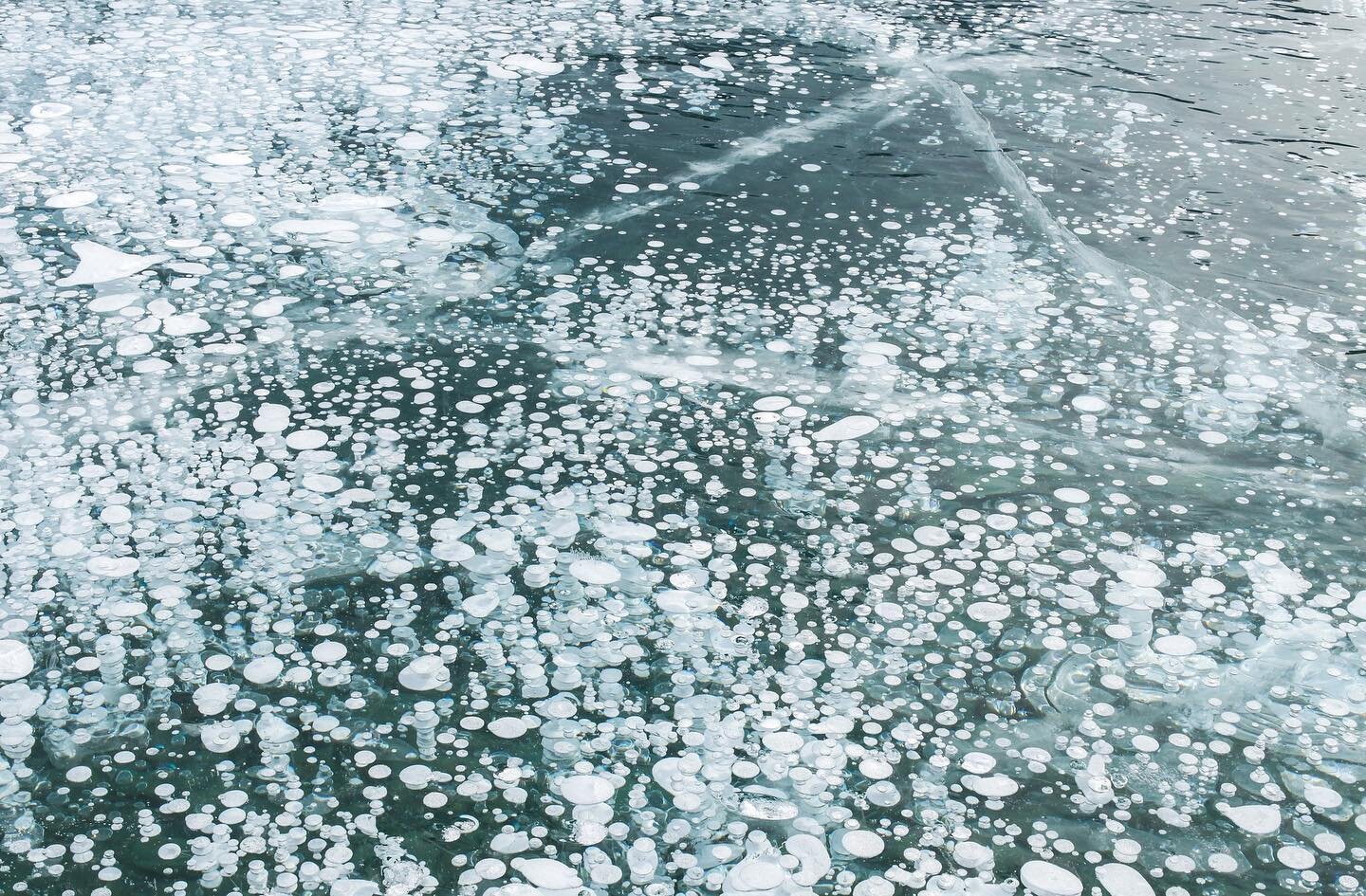 Frozen bubbles of Abraham Lake, Canada, 2020 🇨🇦