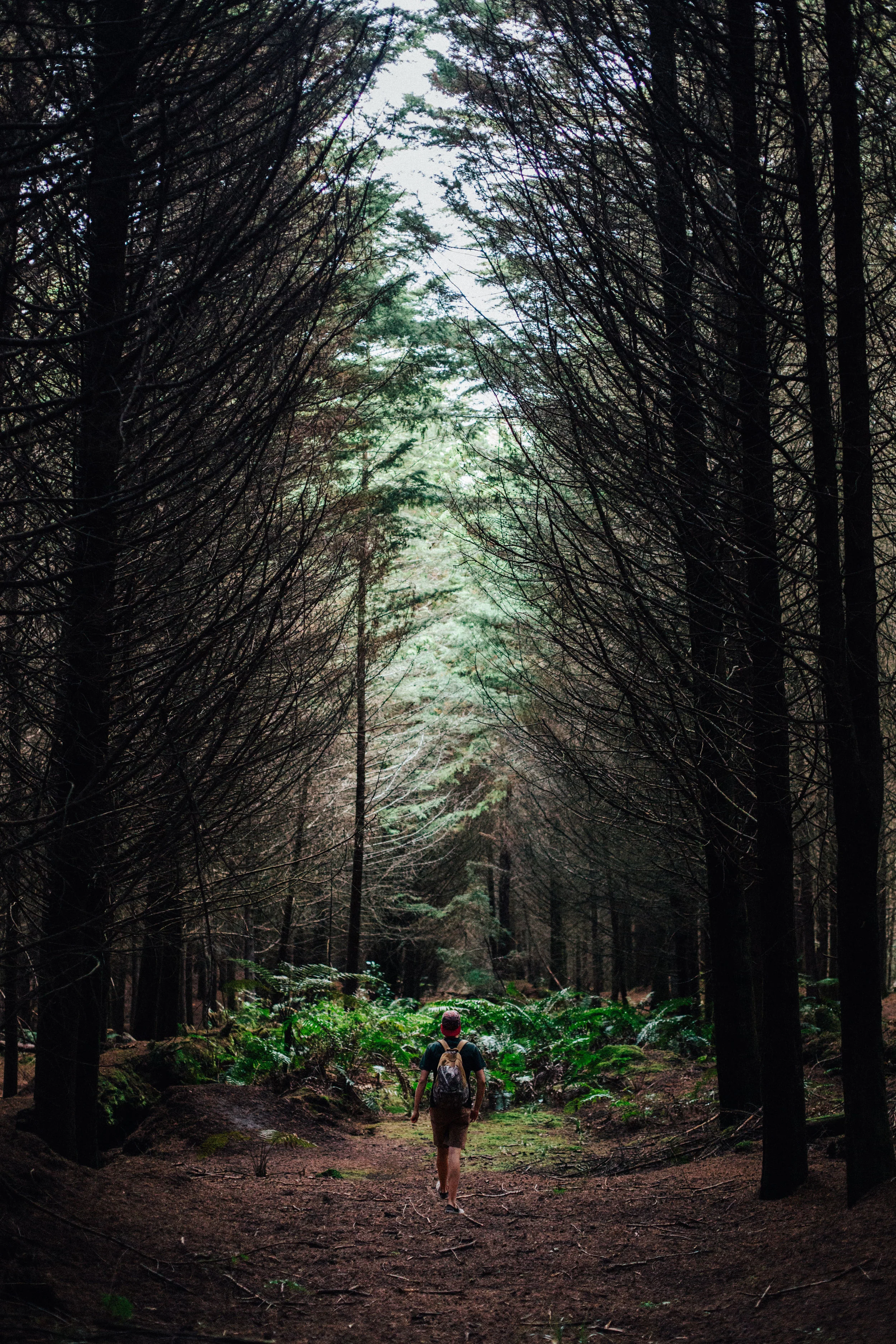 _Z6A5238-Edit-Edit.jpg