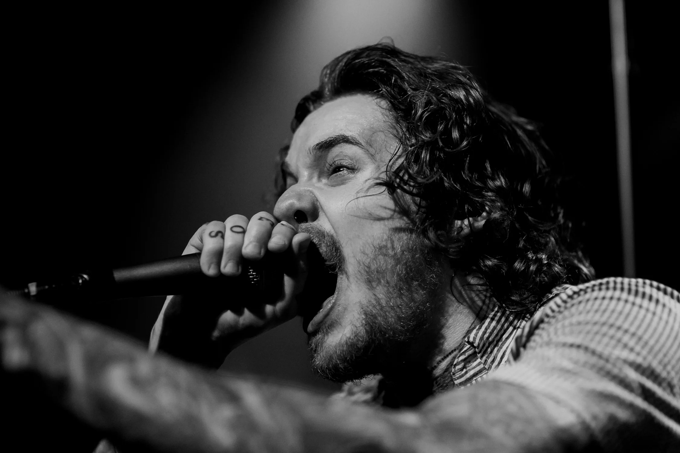 LFPmusic-74.jpg