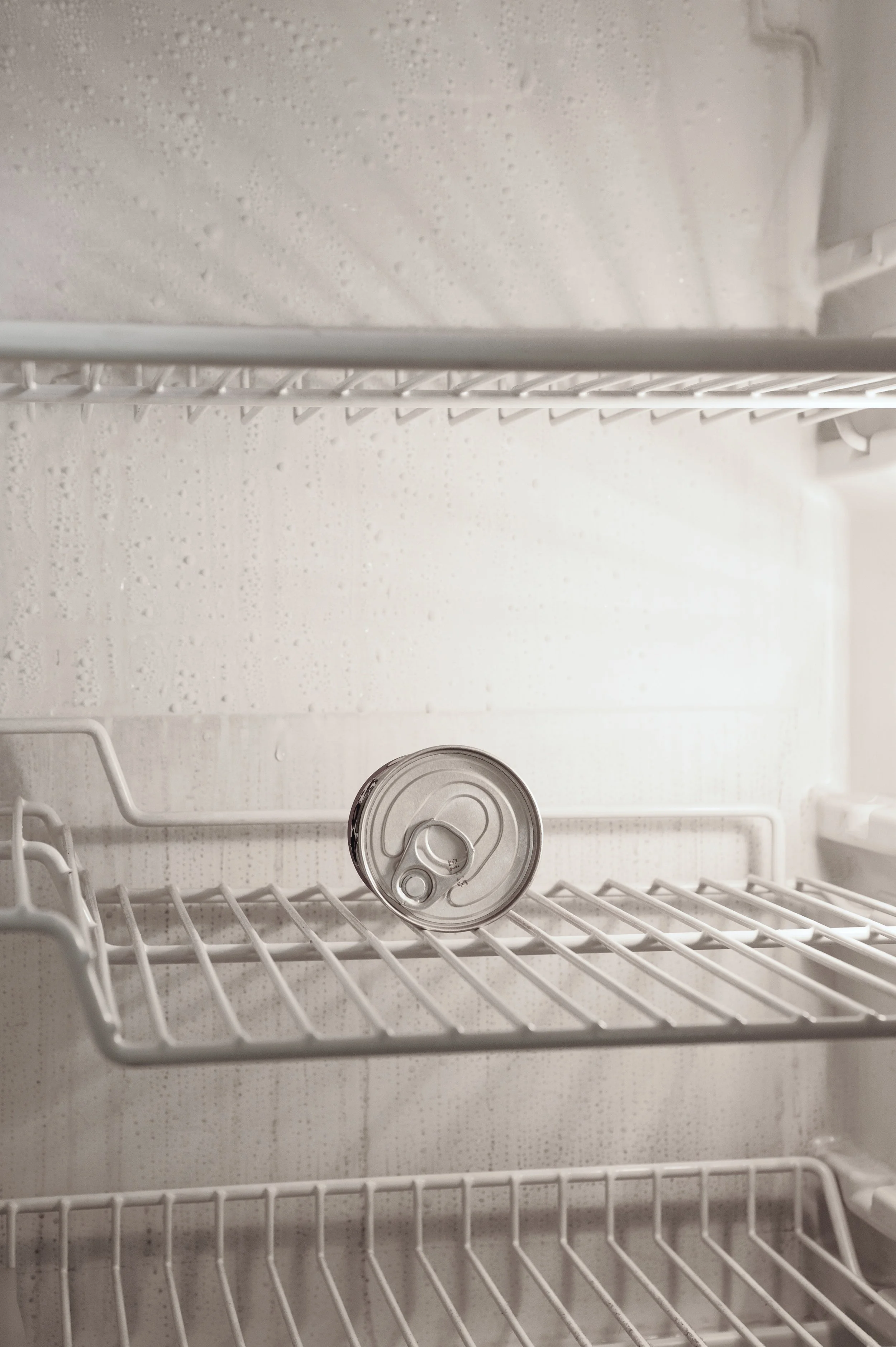 The Information Refrigerator 