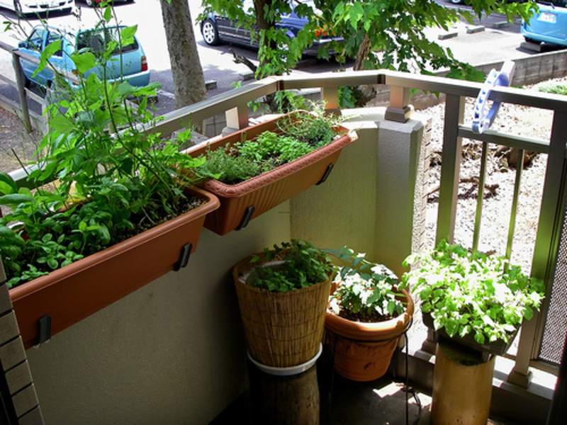 Mini-Jardim-na-Varanda-do-Apartamento-1.jpg