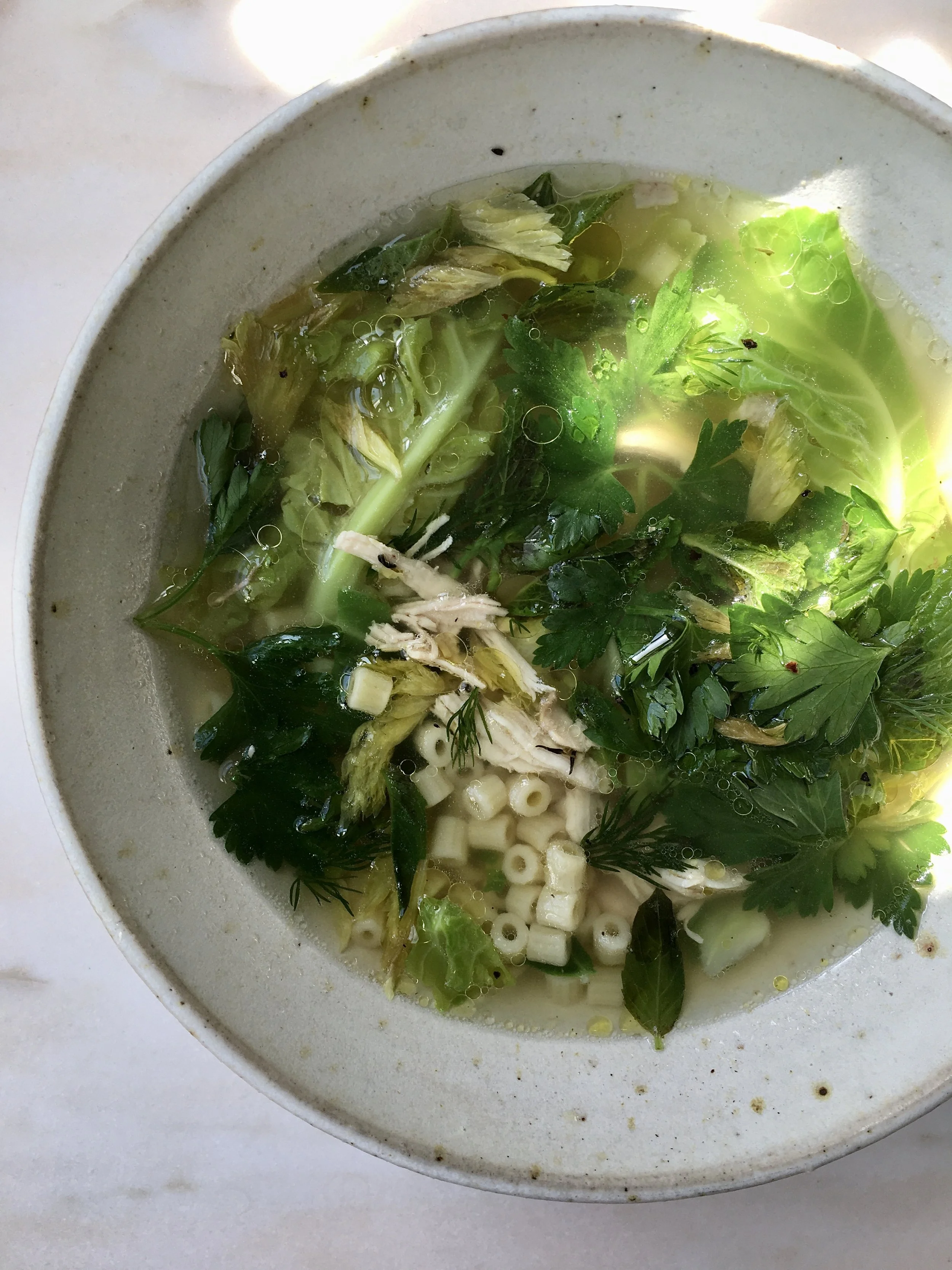SPRING CHICKEN SOUP.JPG