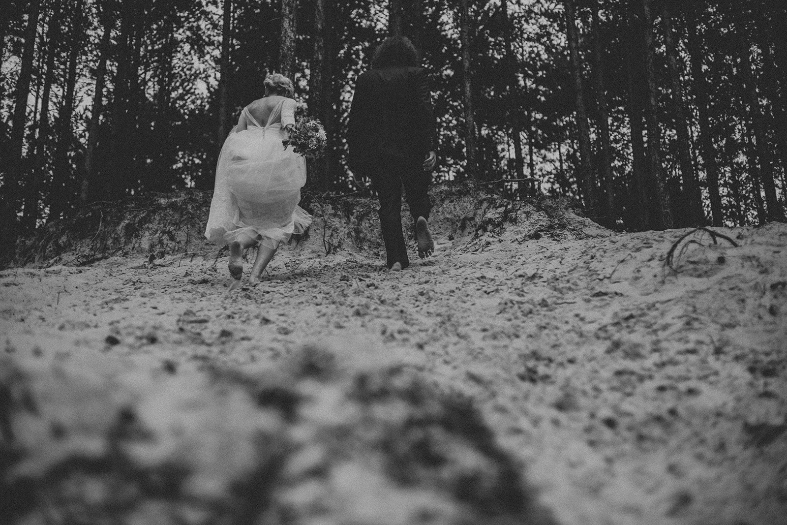 _MG_2331.jpg