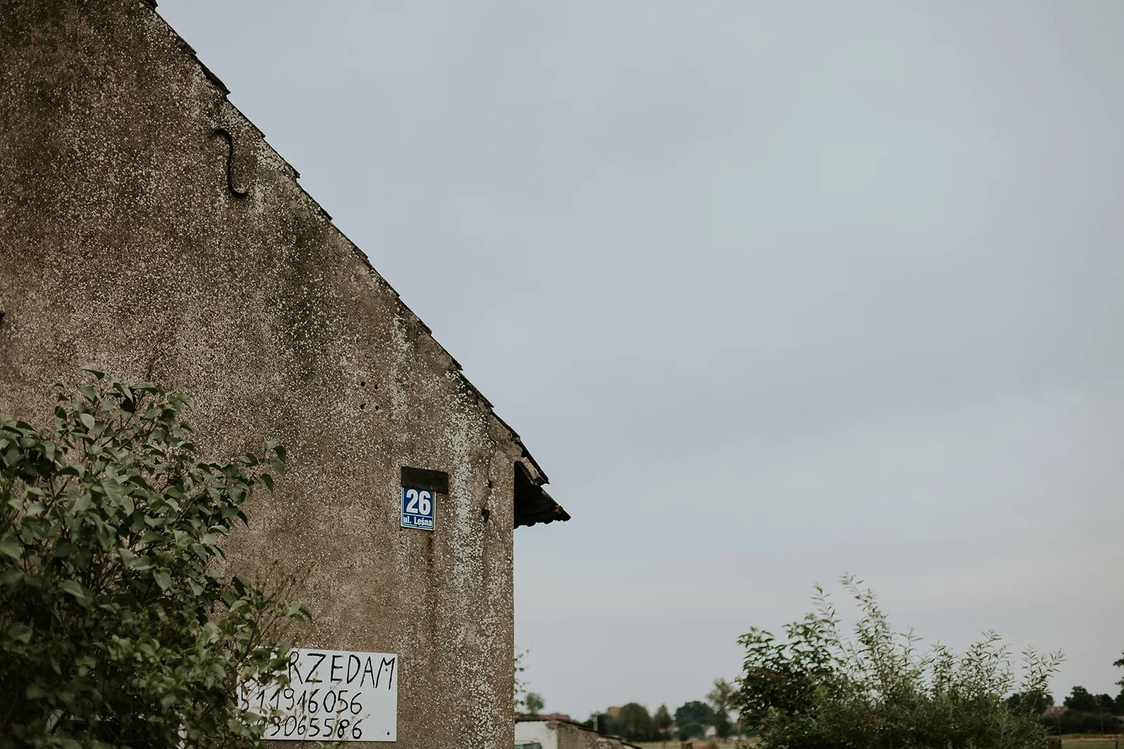 _MG_2646.jpg
