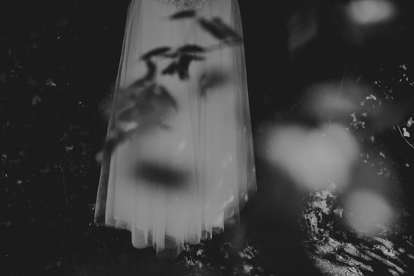 _MG_3017.jpg