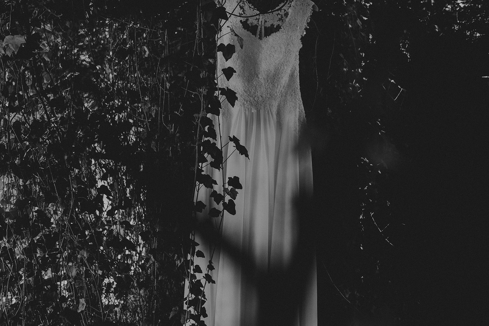 _MG_5208.jpg