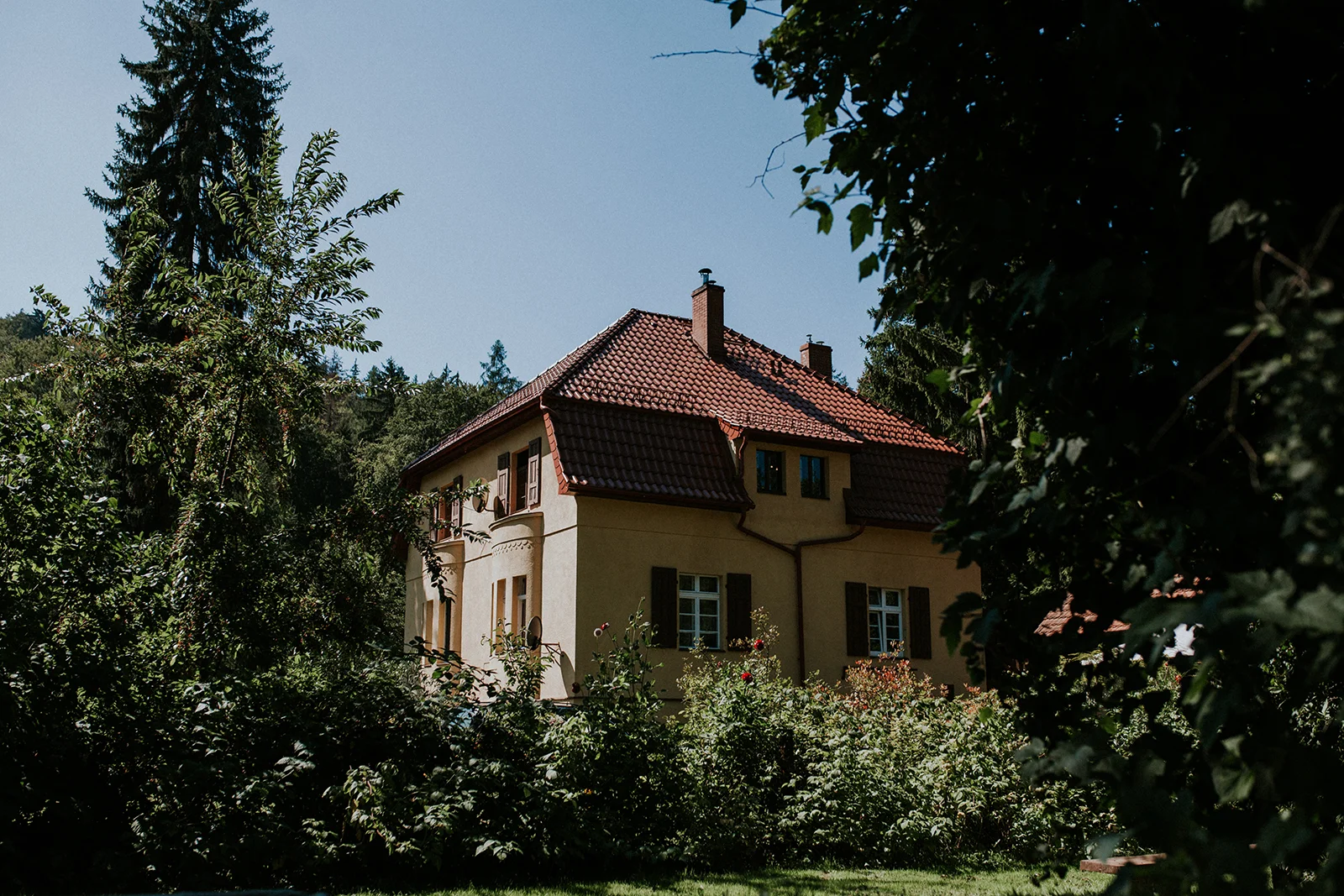 _MG_5195.jpg