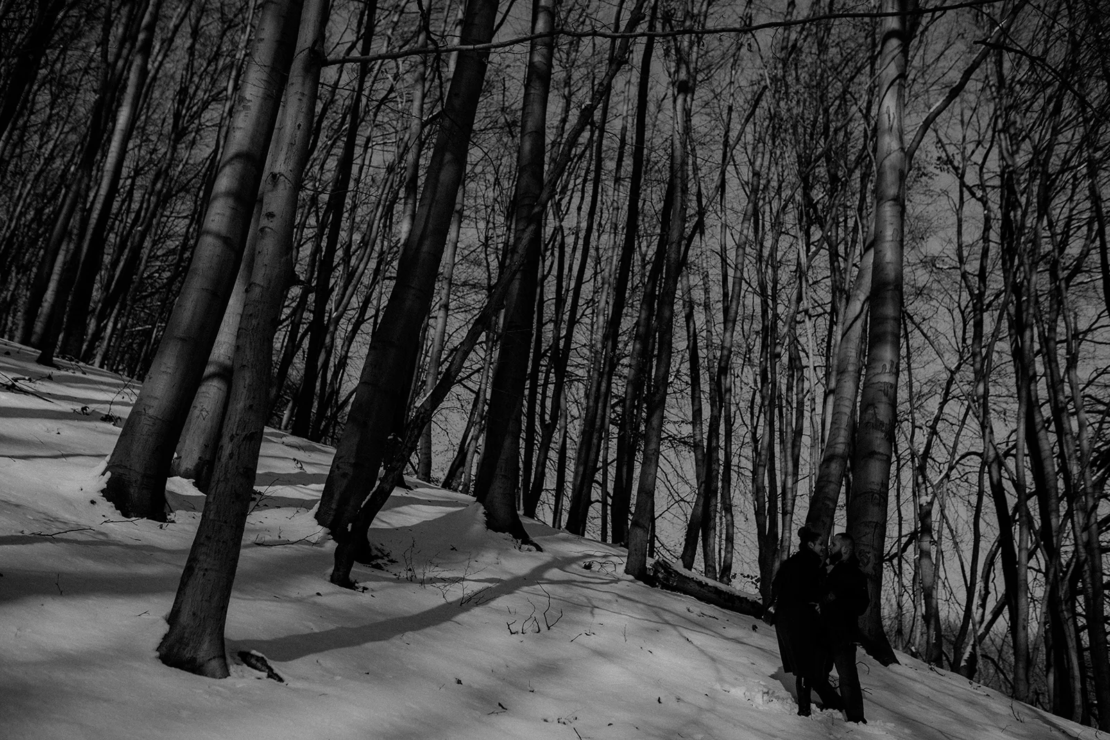 _MG_2198.jpg