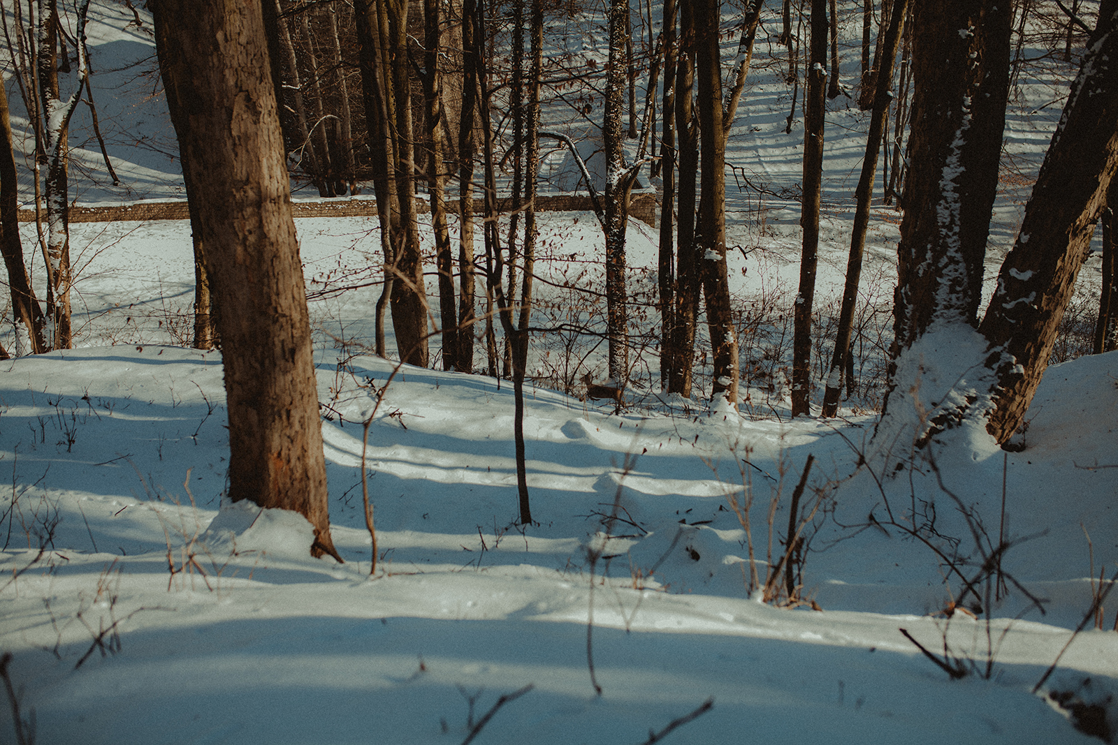 _MG_2249.jpg
