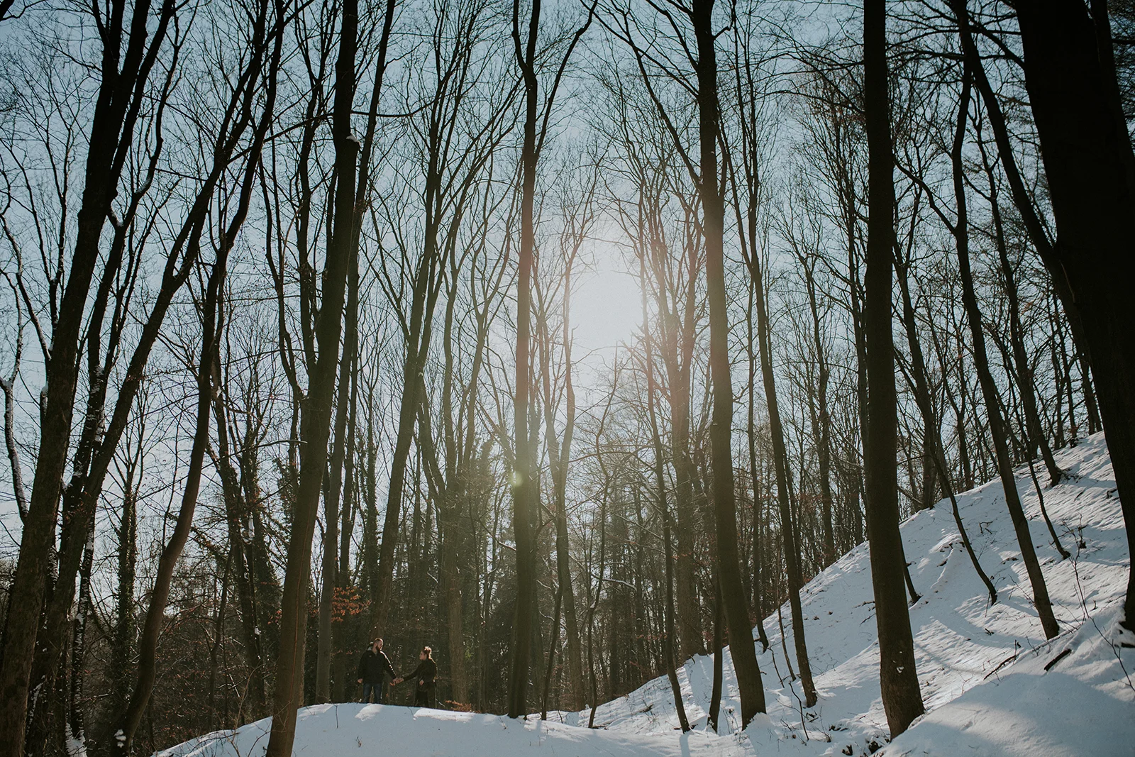 _MG_2244.jpg