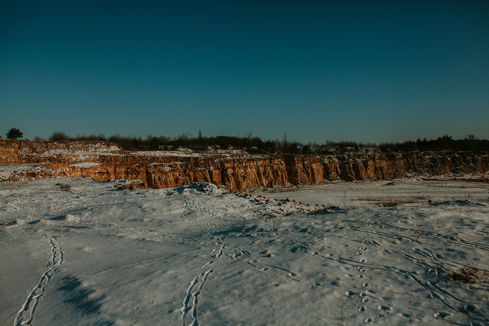 _MG_2424.jpg