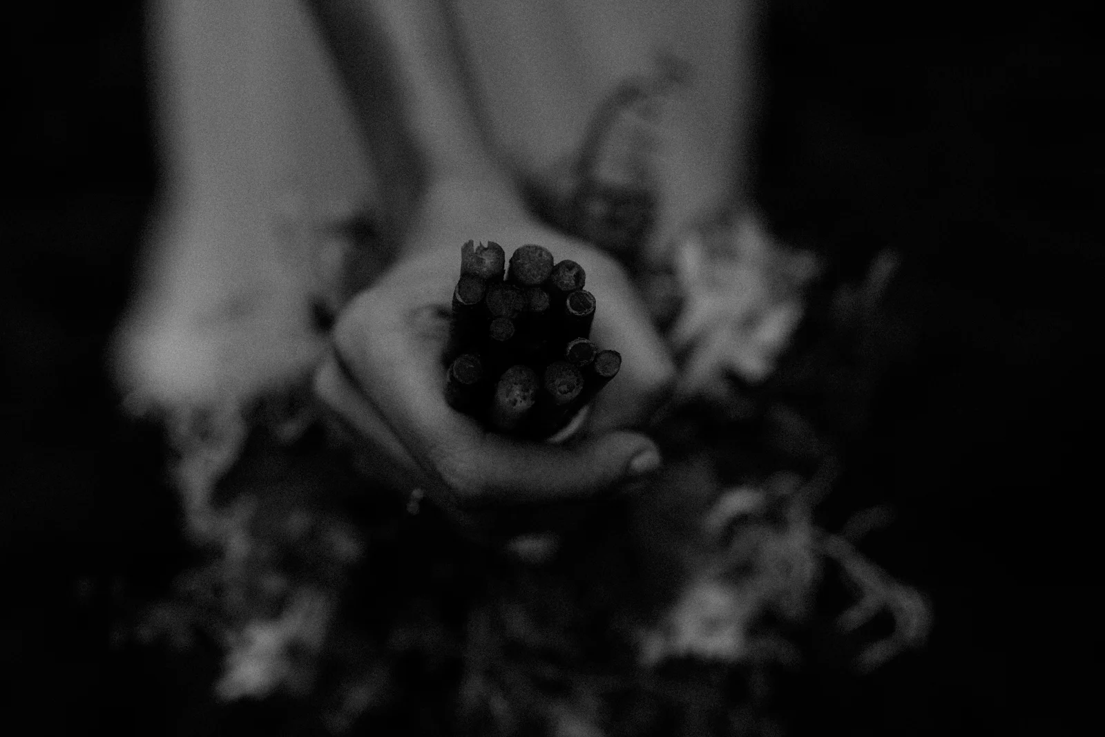 _MG_2534.jpg