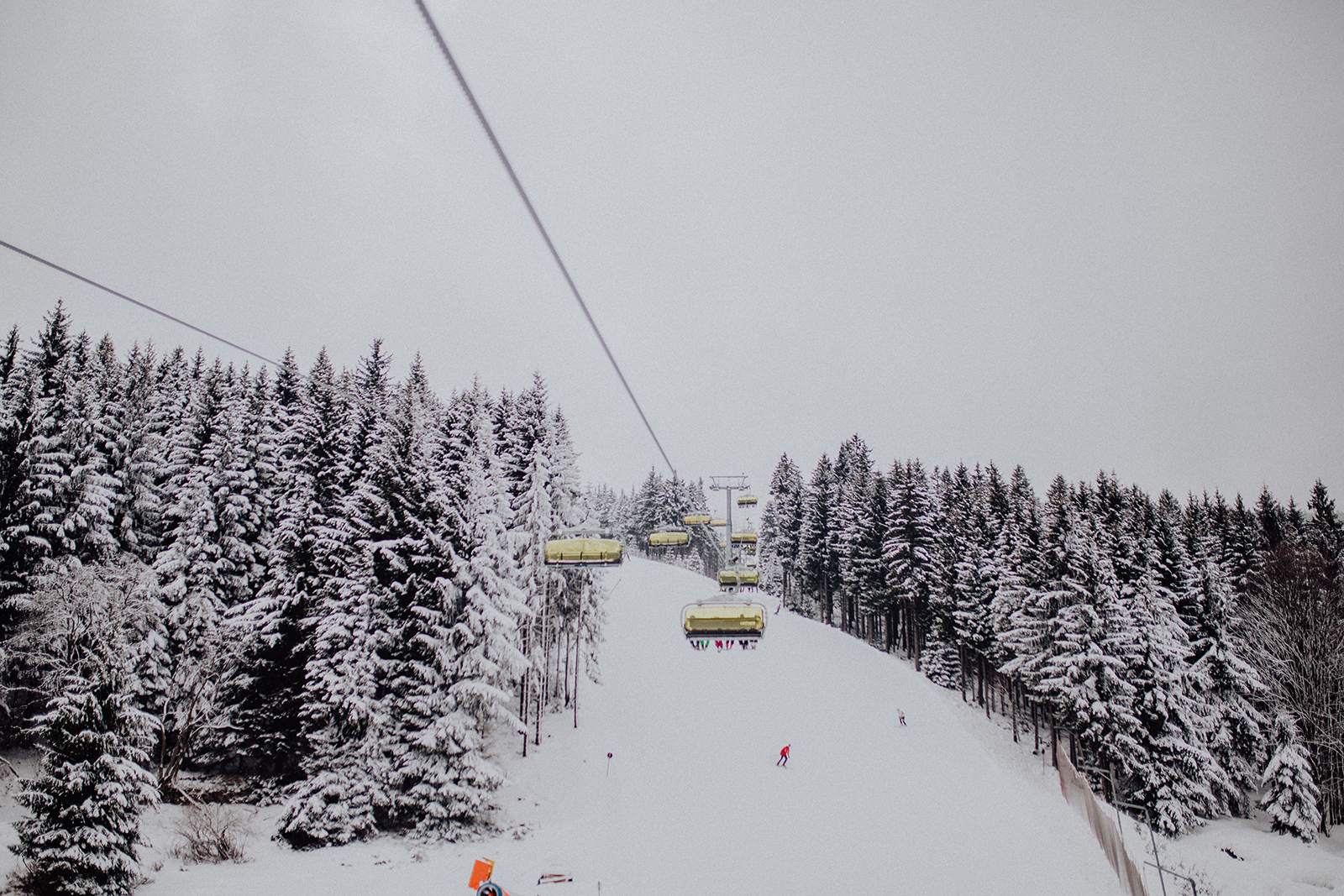 _MG_5288.jpg
