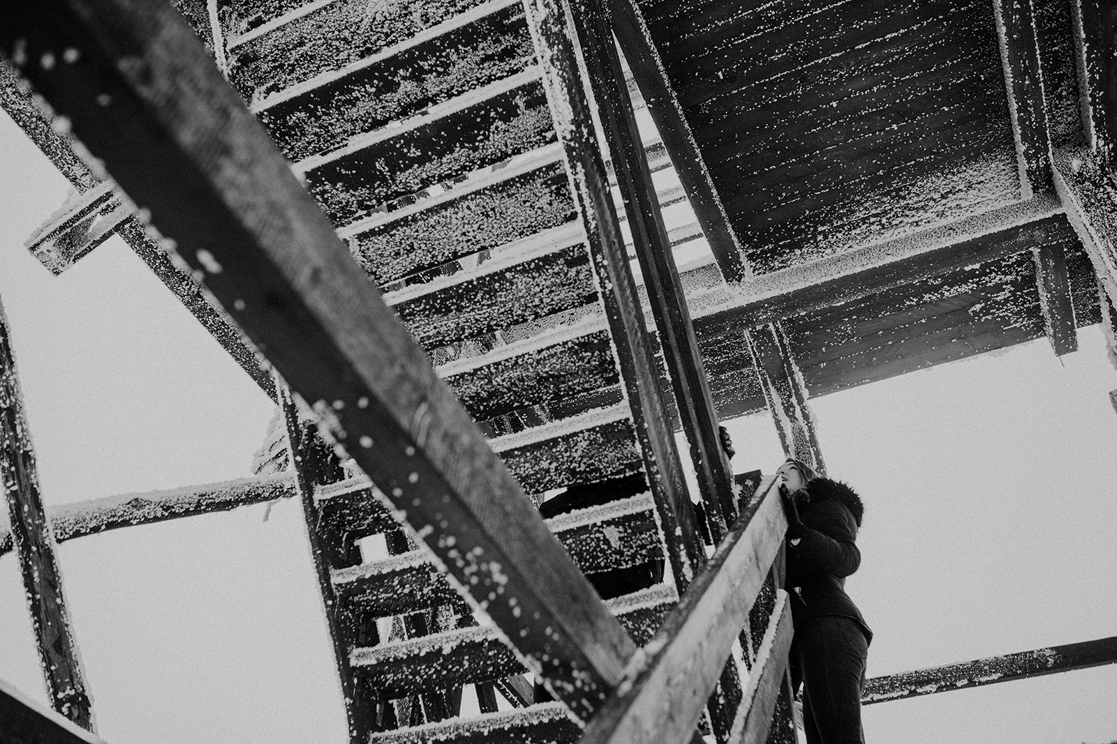 _MG_5456.jpg