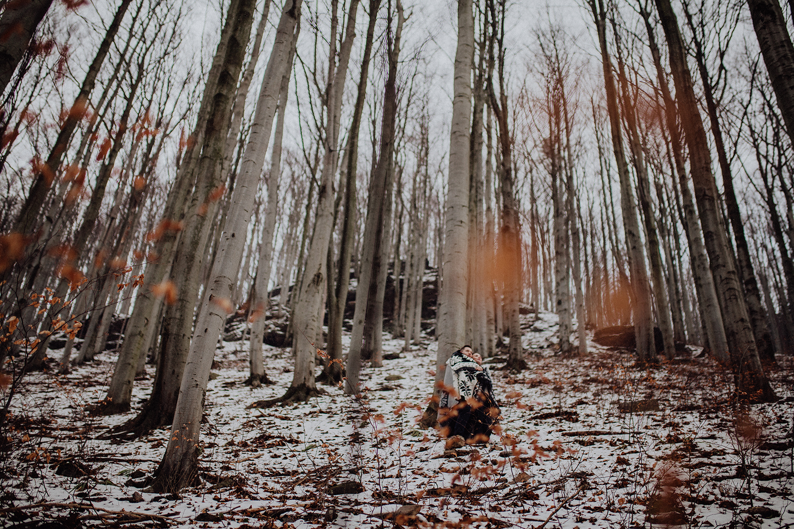 _MG_5671.jpg