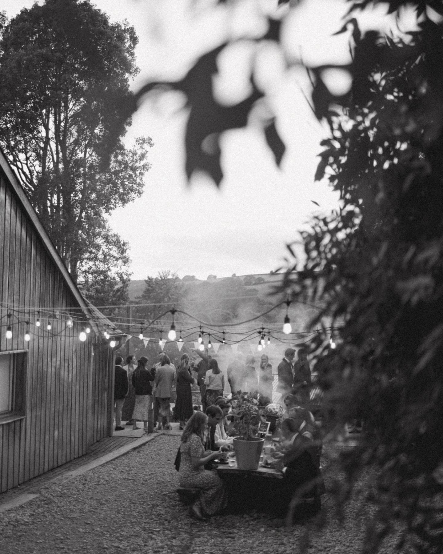 Excited to be back at @fforest_weddings next week. Throwing it back to Charlotte + Charlie&rsquo;s warm &amp; magical day there ✨