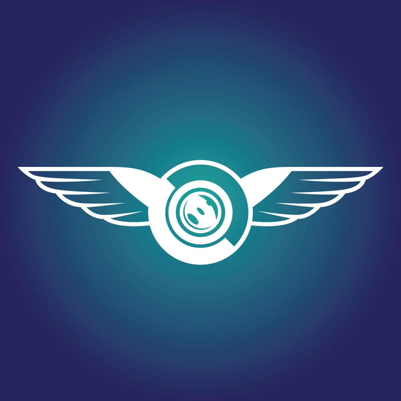 Swinton Aerial ICON GRAD.jpg