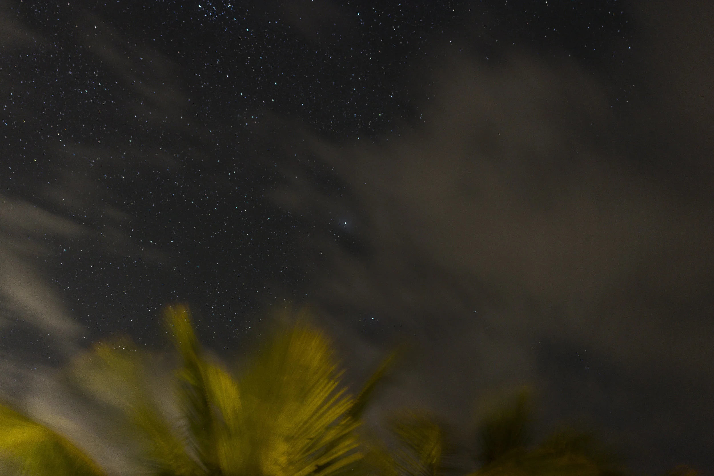 DSC_8919_web.jpg